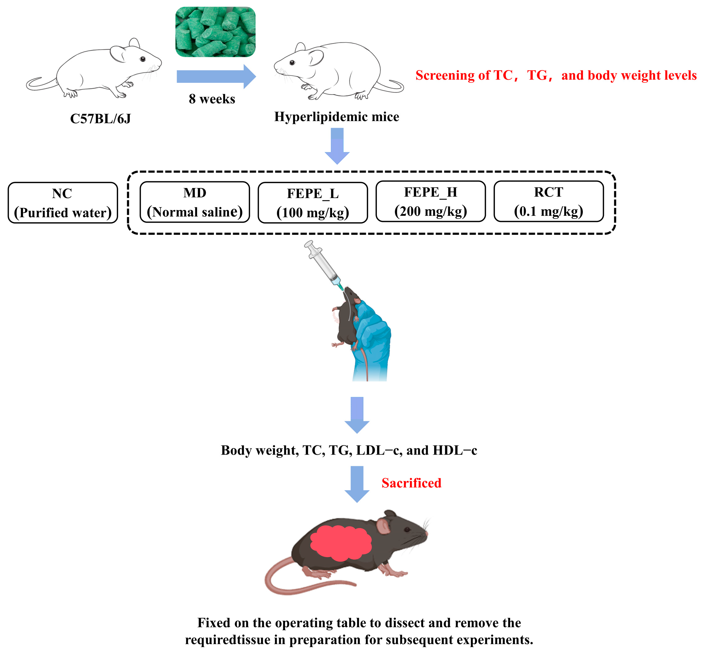 Metabolites 14 00257 g001