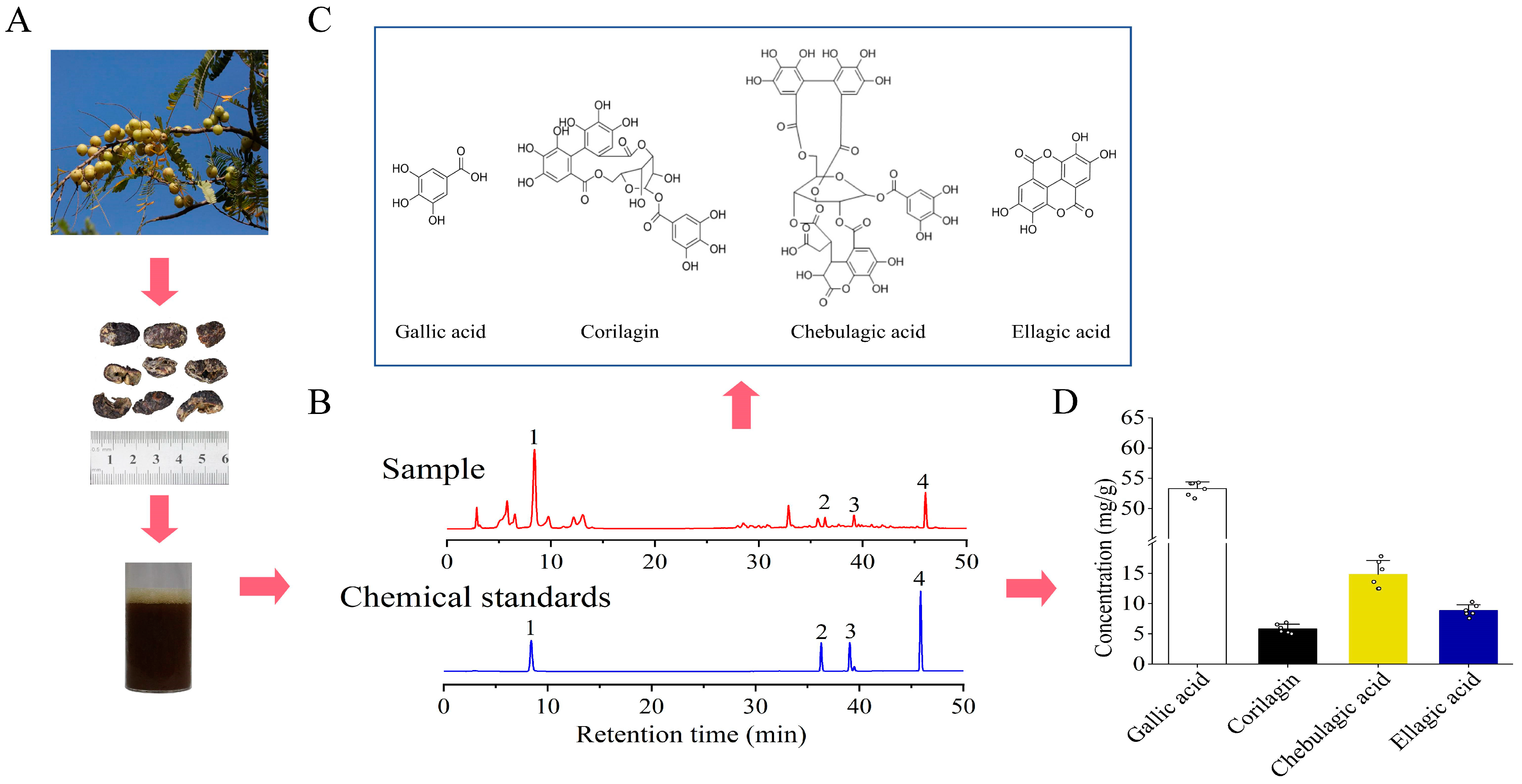 Metabolites 14 00257 g002