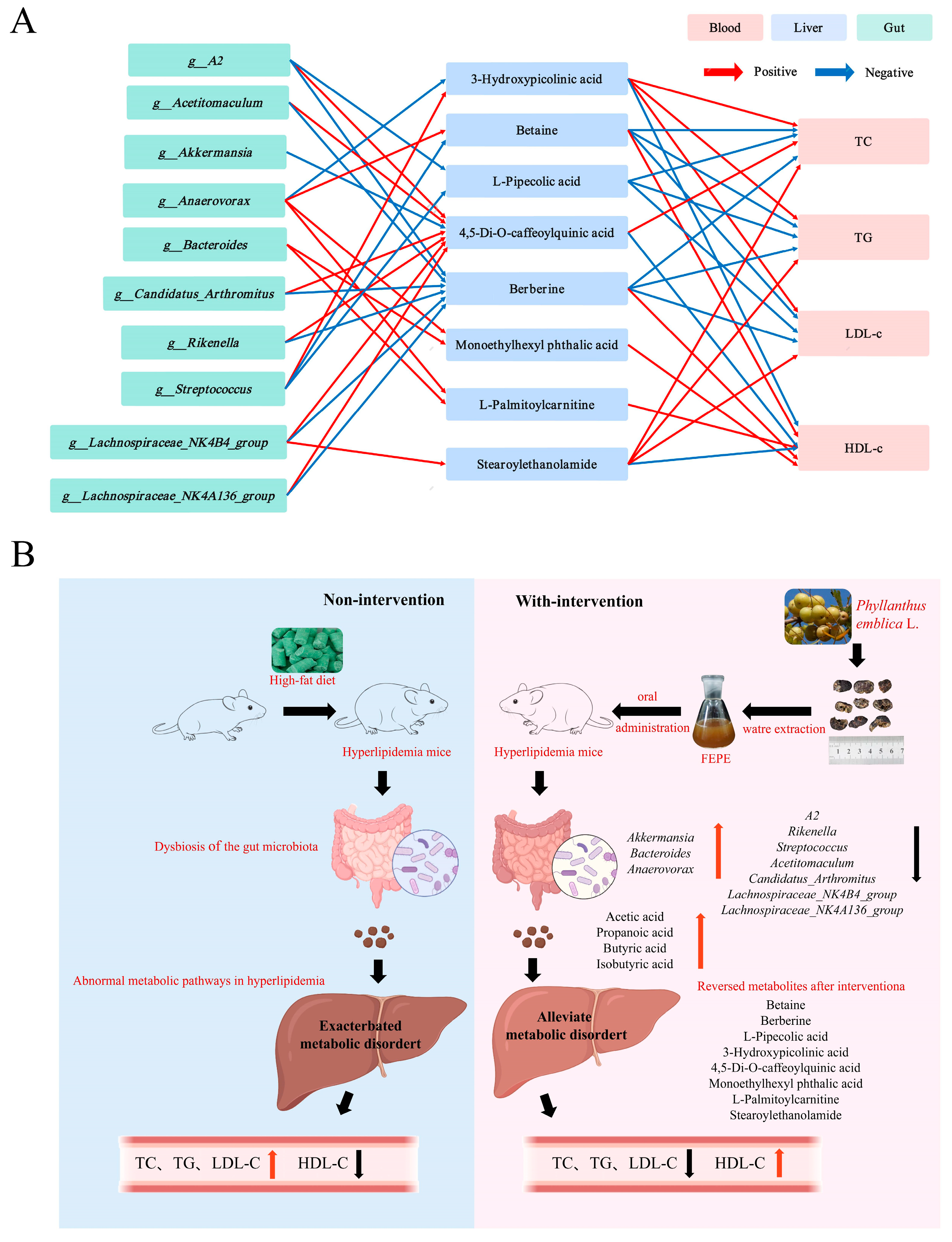 Metabolites 14 00257 g007