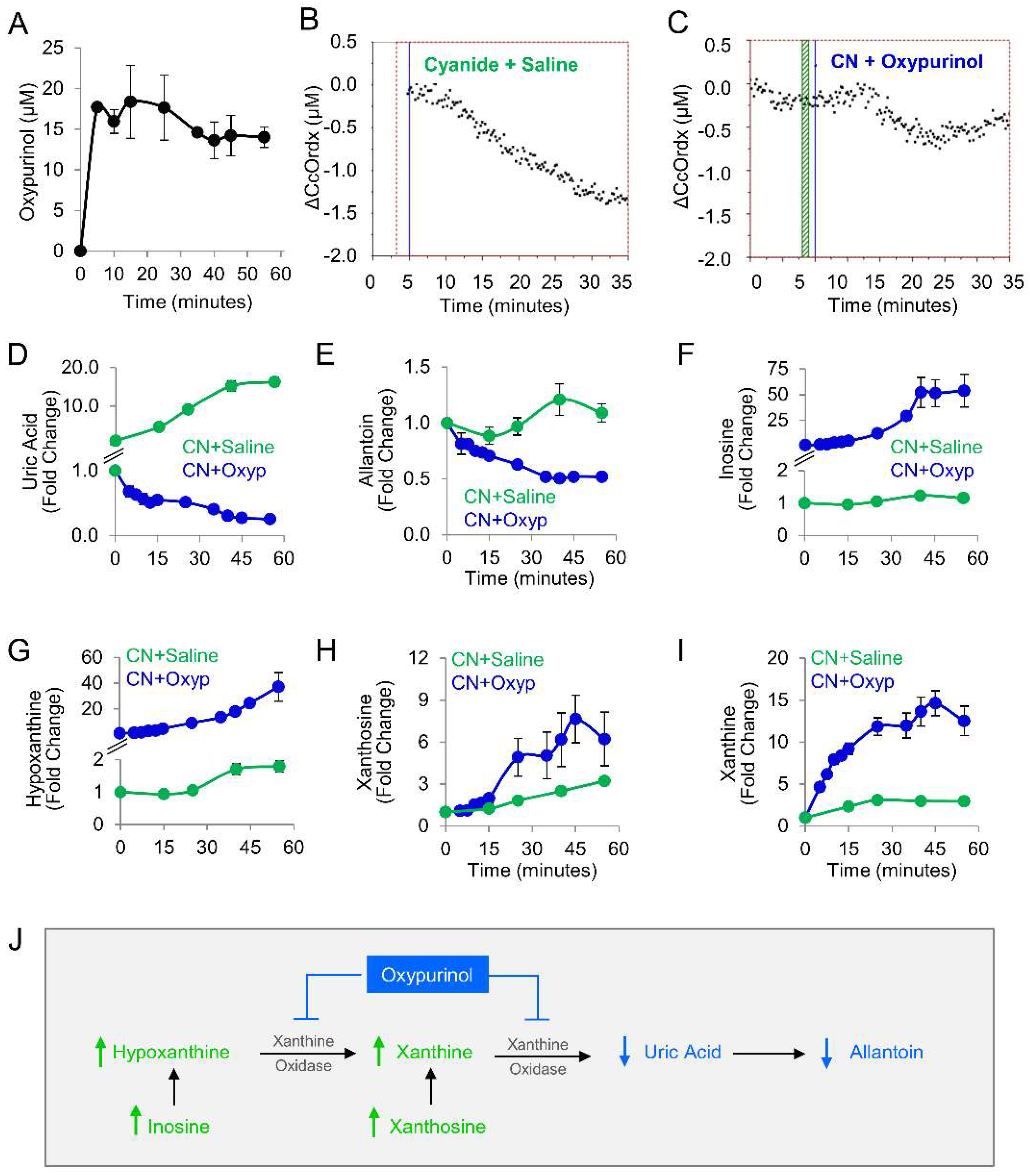 Metabolites 14 00279 g003