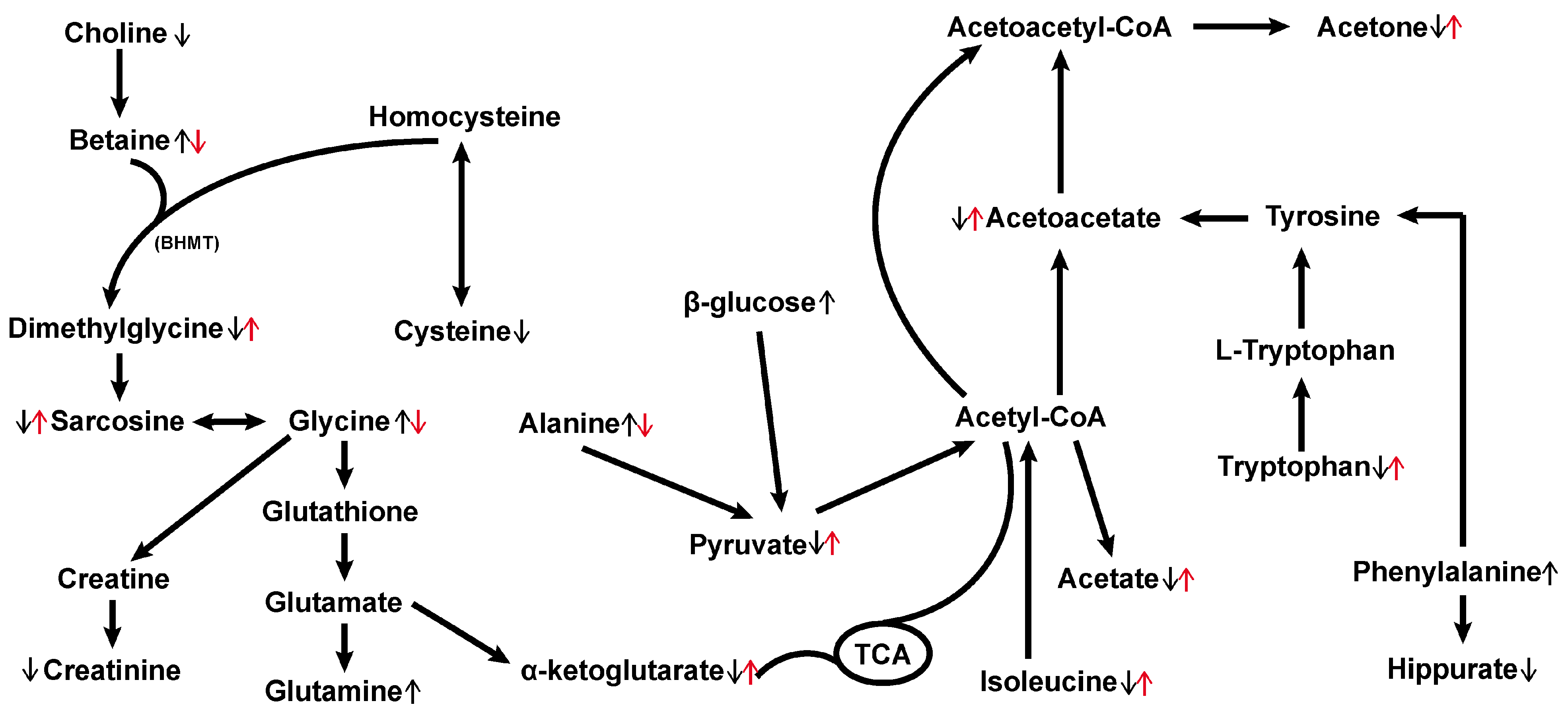 Metabolites | Free Full-Text | The Therapeutic Potential of Hemp Seed ...