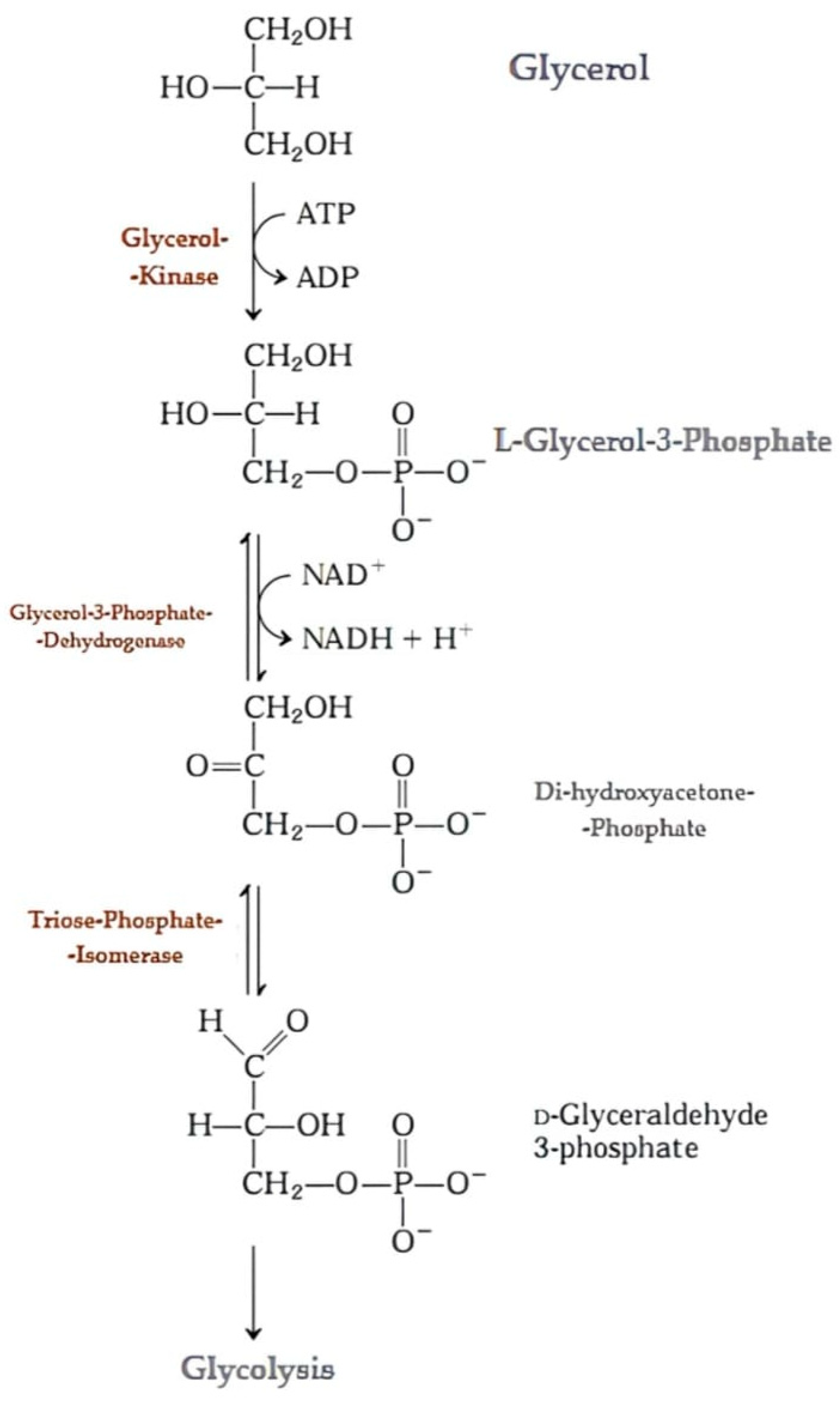 Metabolites 14 00308 g002