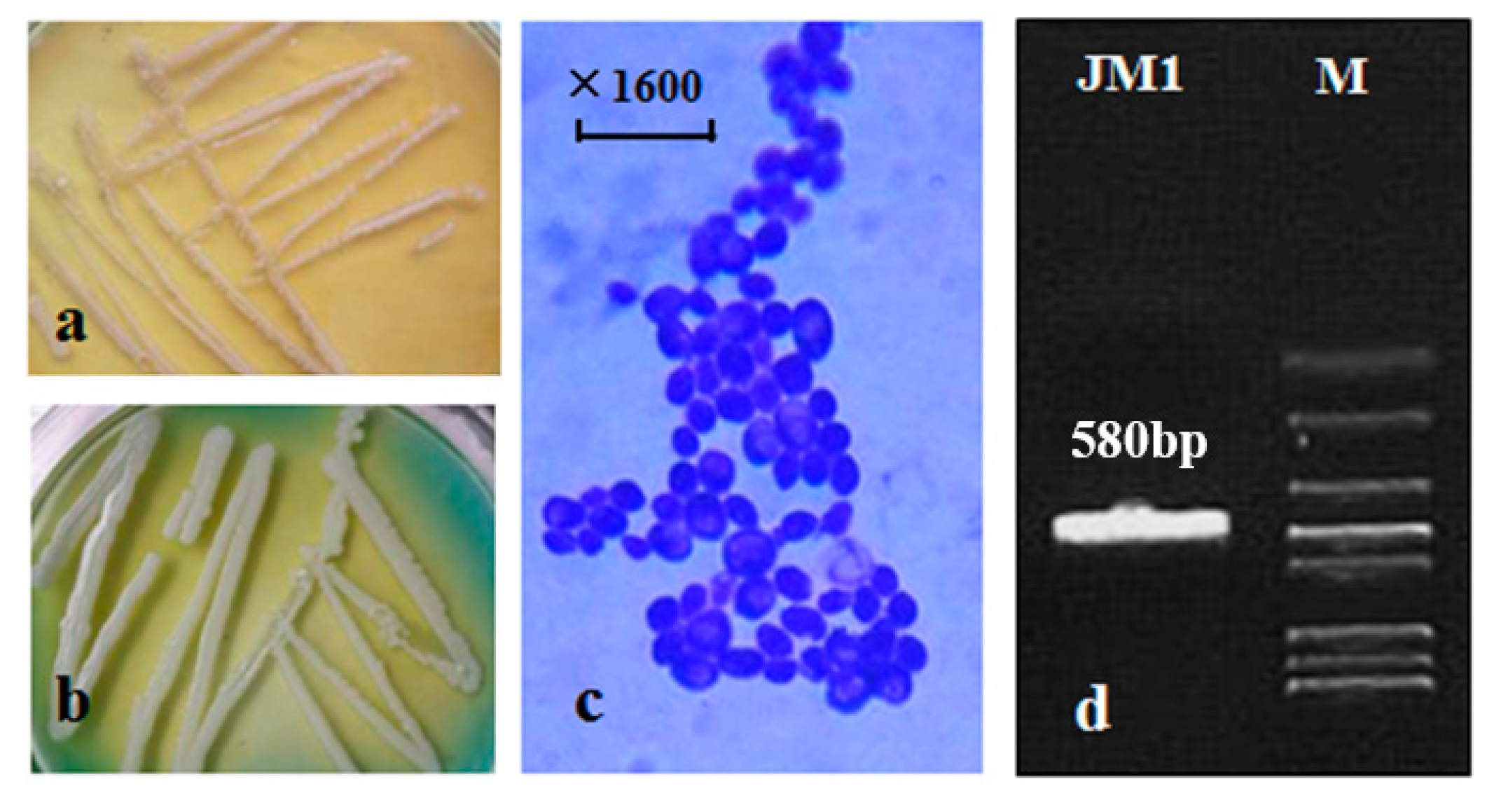 Metabolites 14 00310 g001