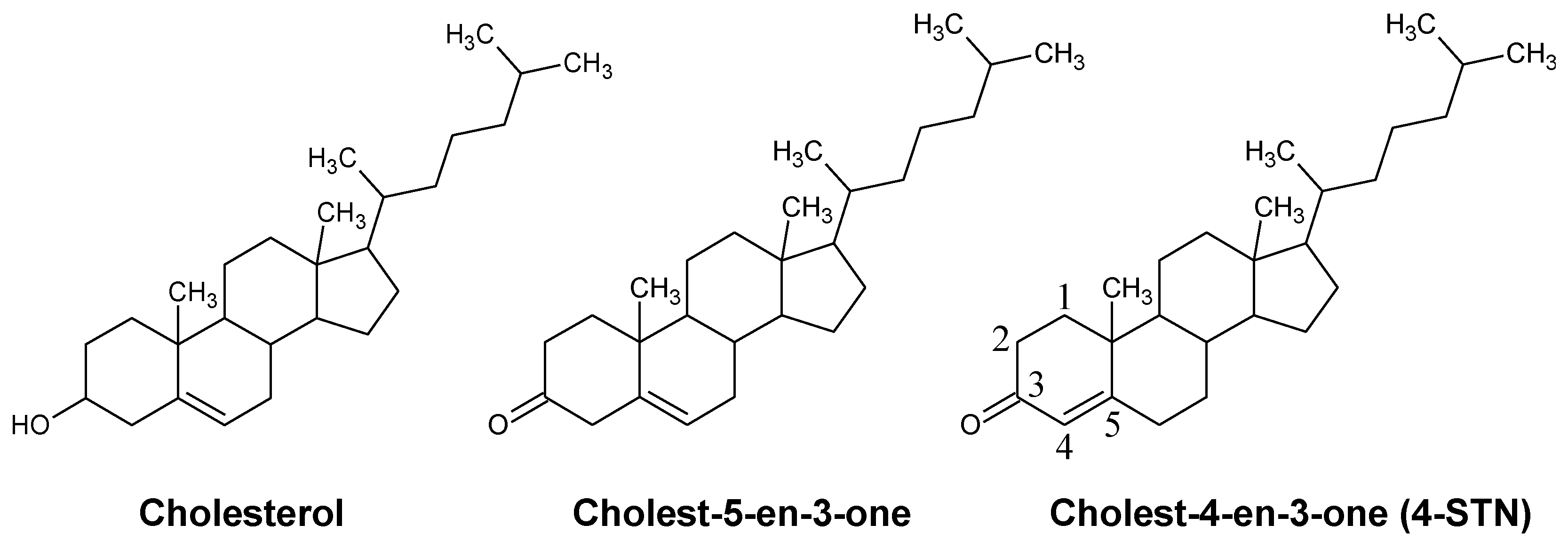 Metabolites | Free Full-Text | Dietary Cholest-4-en-3-one, a ...