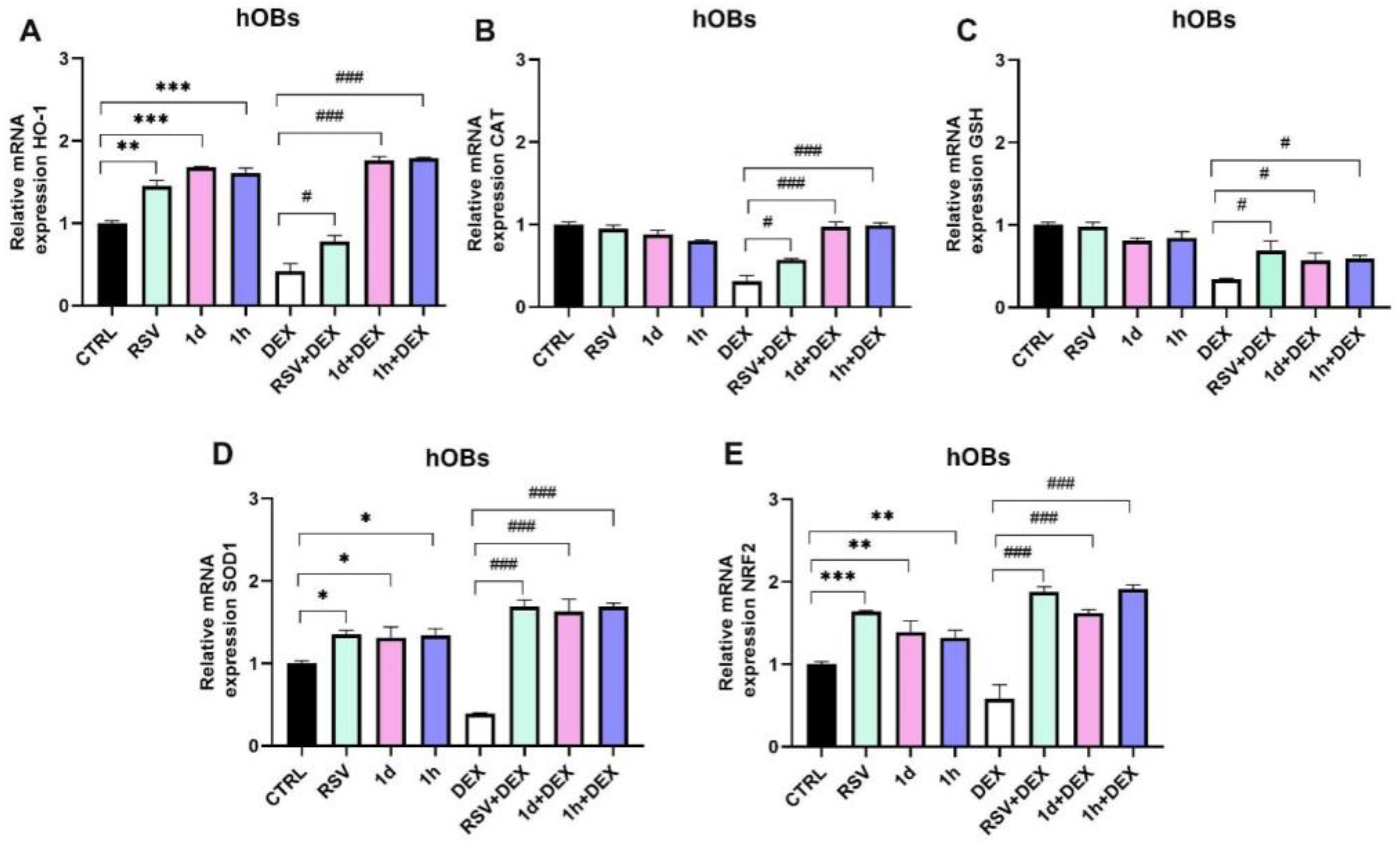 Metabolites 14 00350 g007