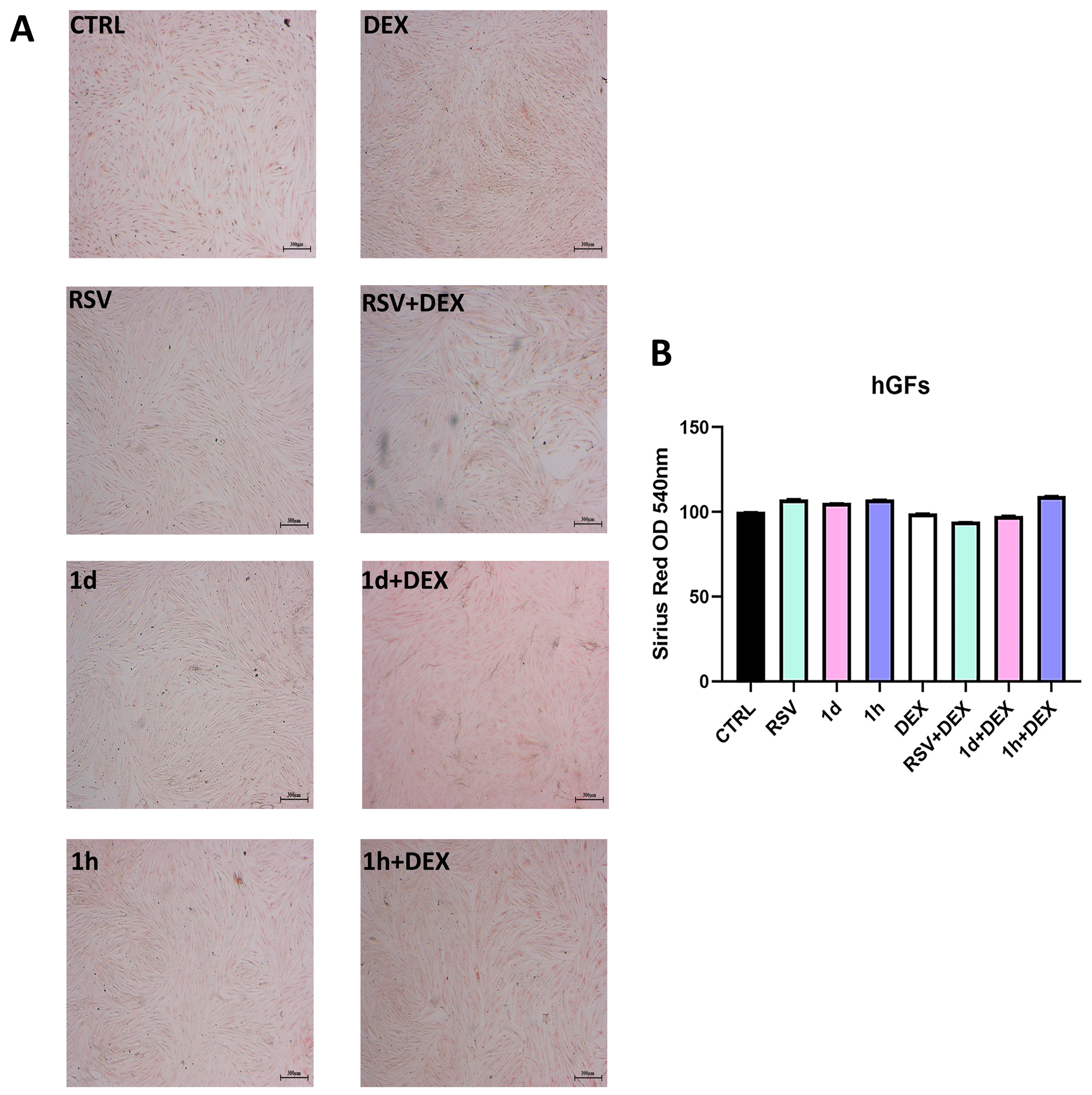 Metabolites 14 00350 g008