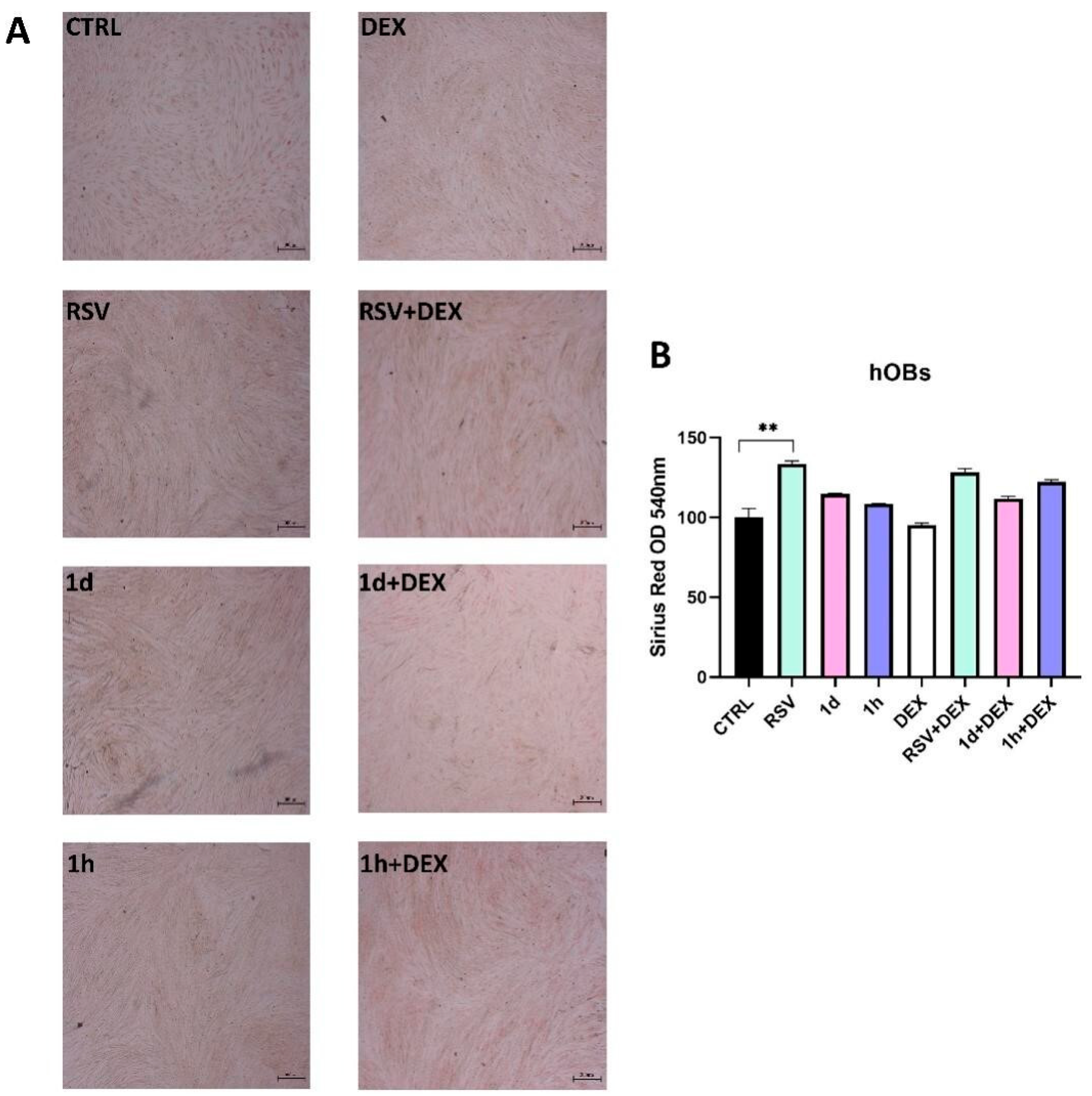 Metabolites 14 00350 g009