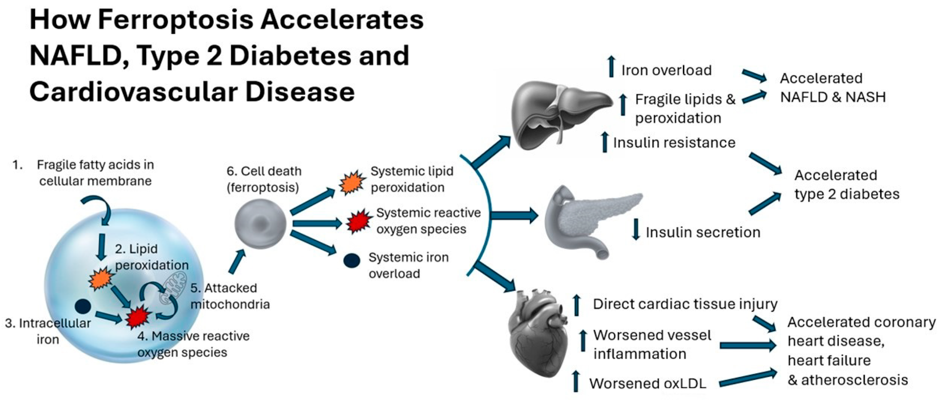 Metabolites 14 00355 g001