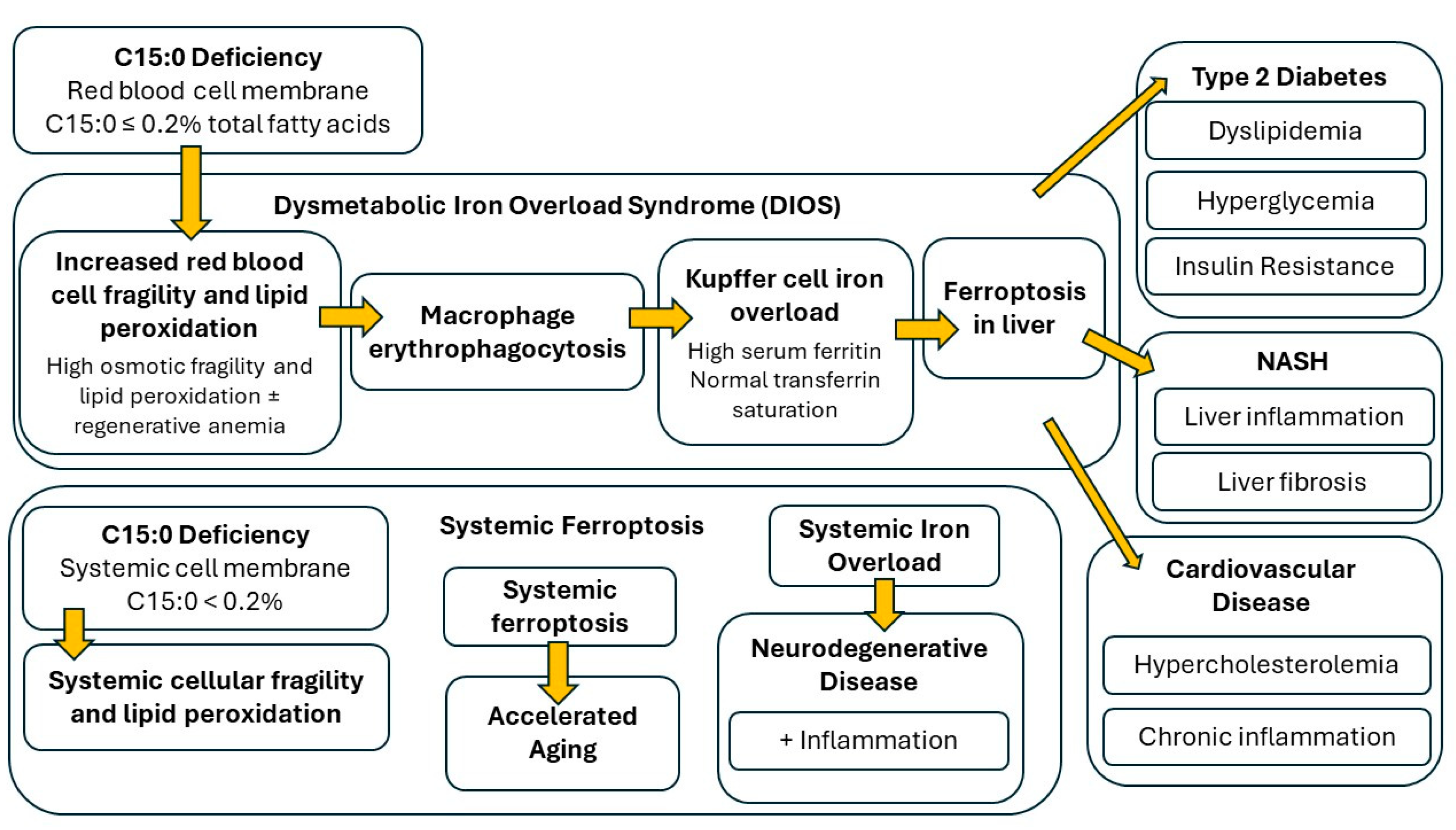 Metabolites 14 00355 g002