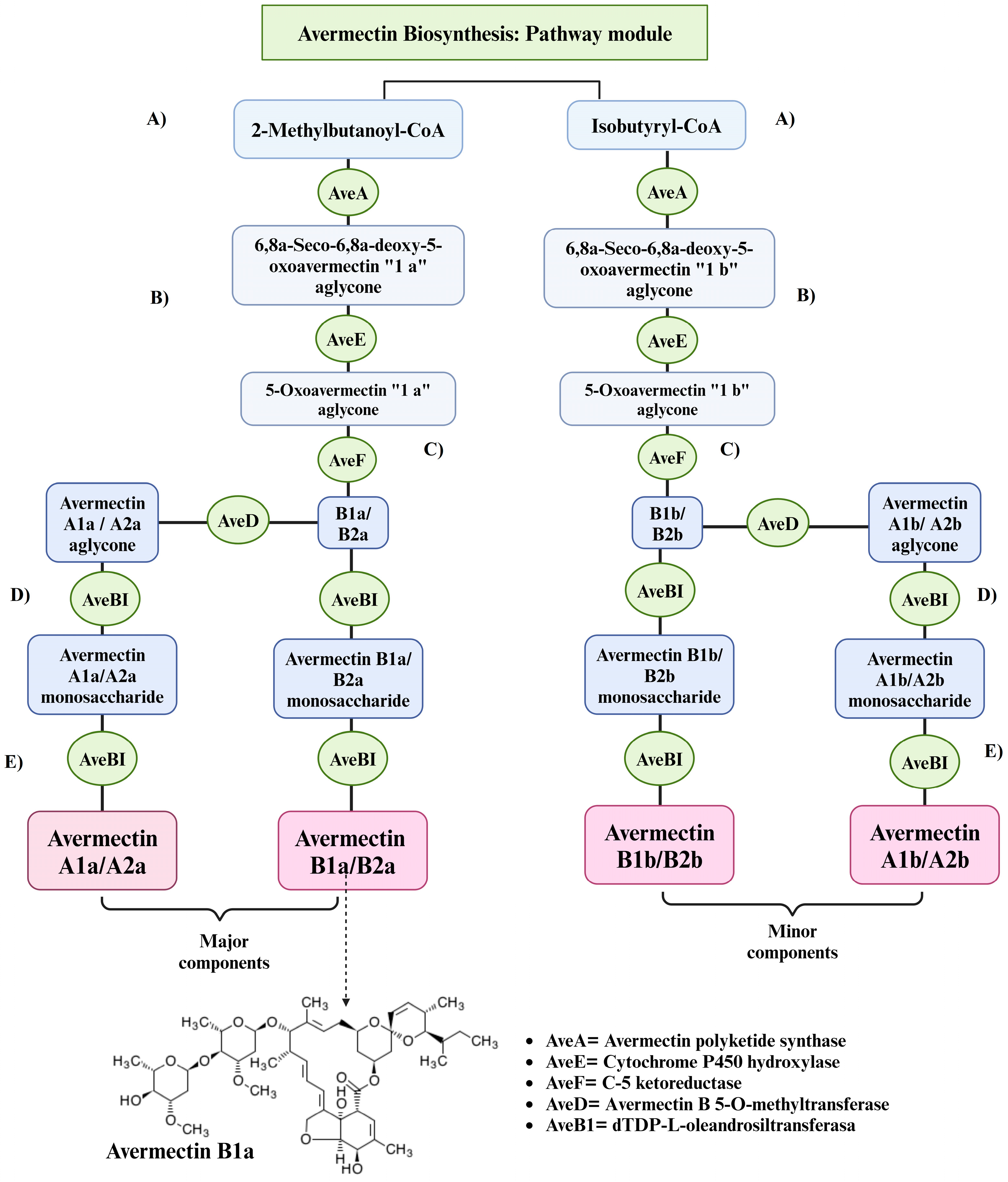 Metabolites 14 00374 g003