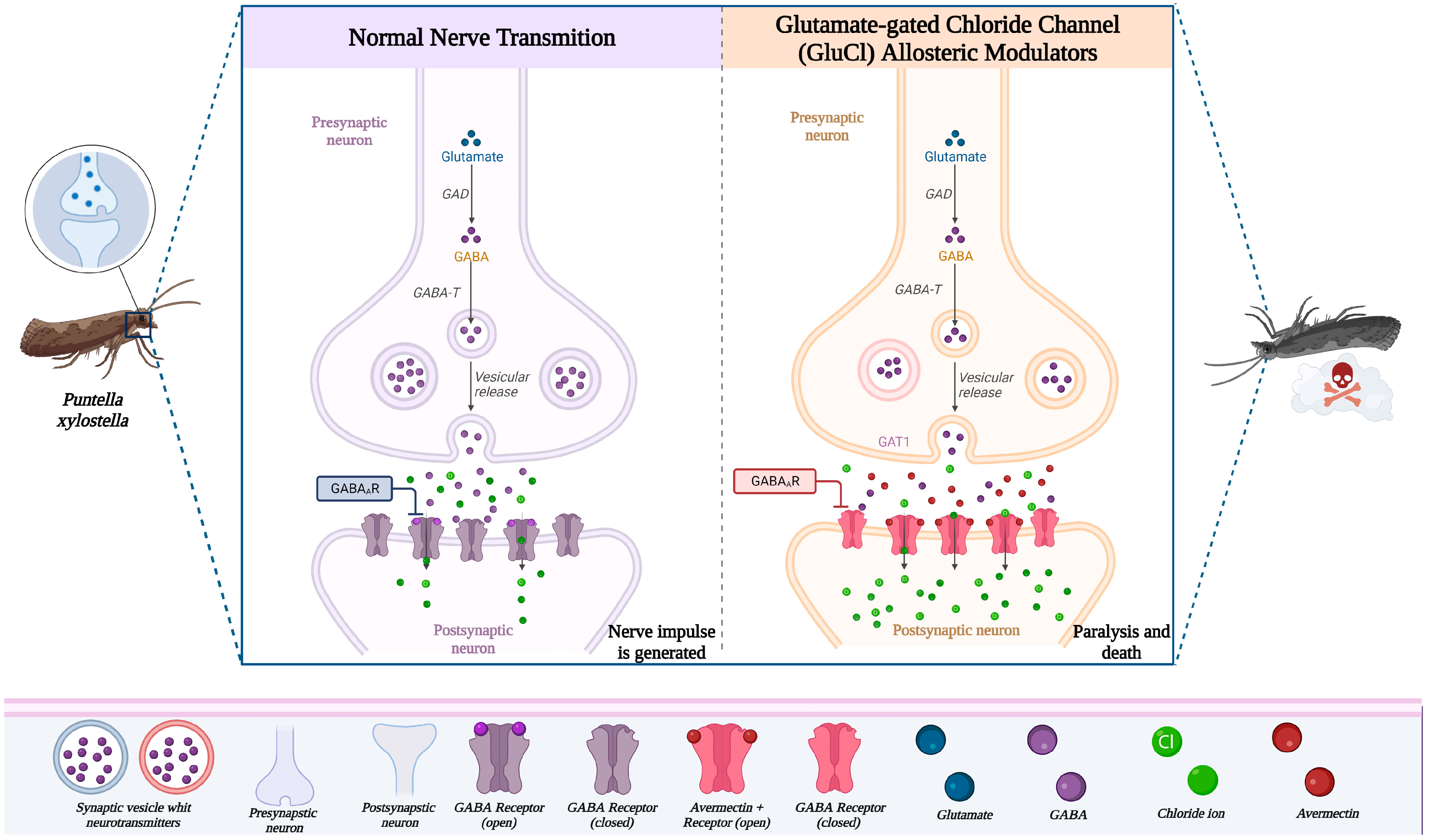 Metabolites 14 00374 g004