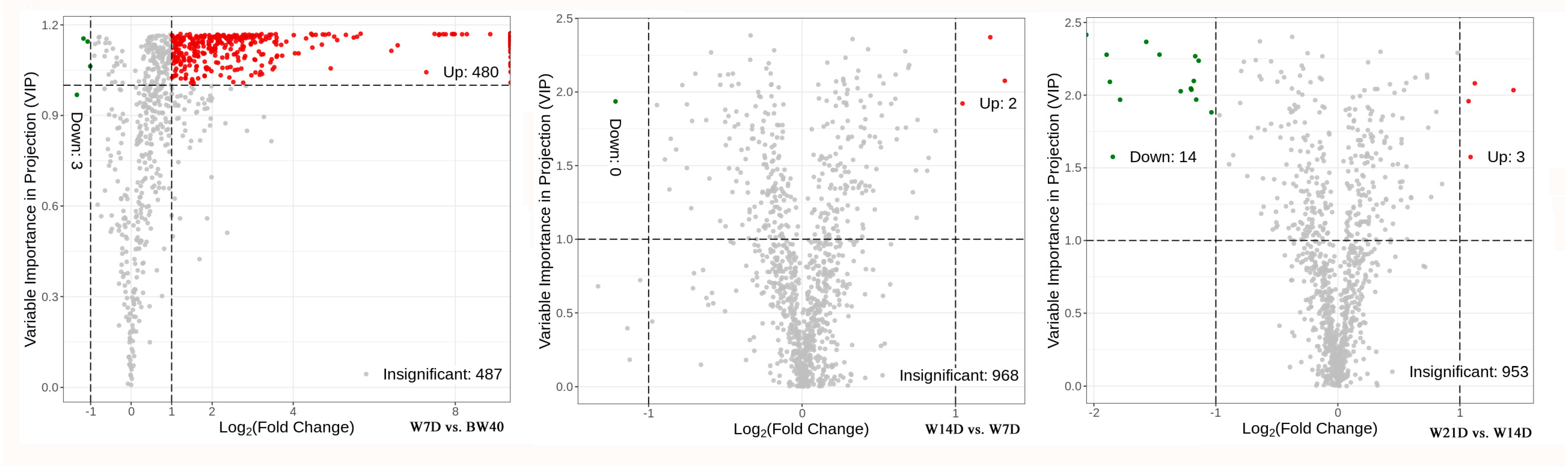 Metabolites 14 00376 g004