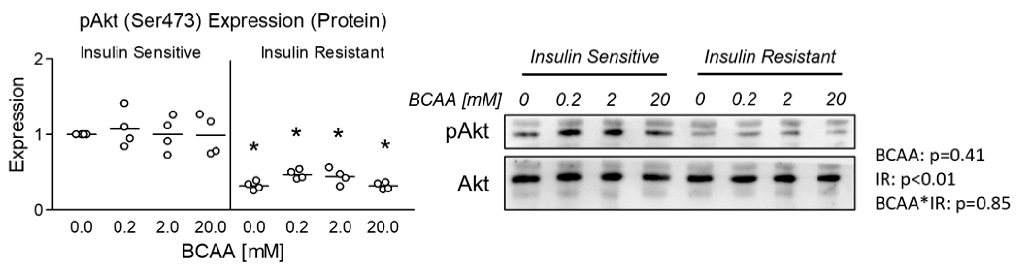 Metabolites 14 00389 g001