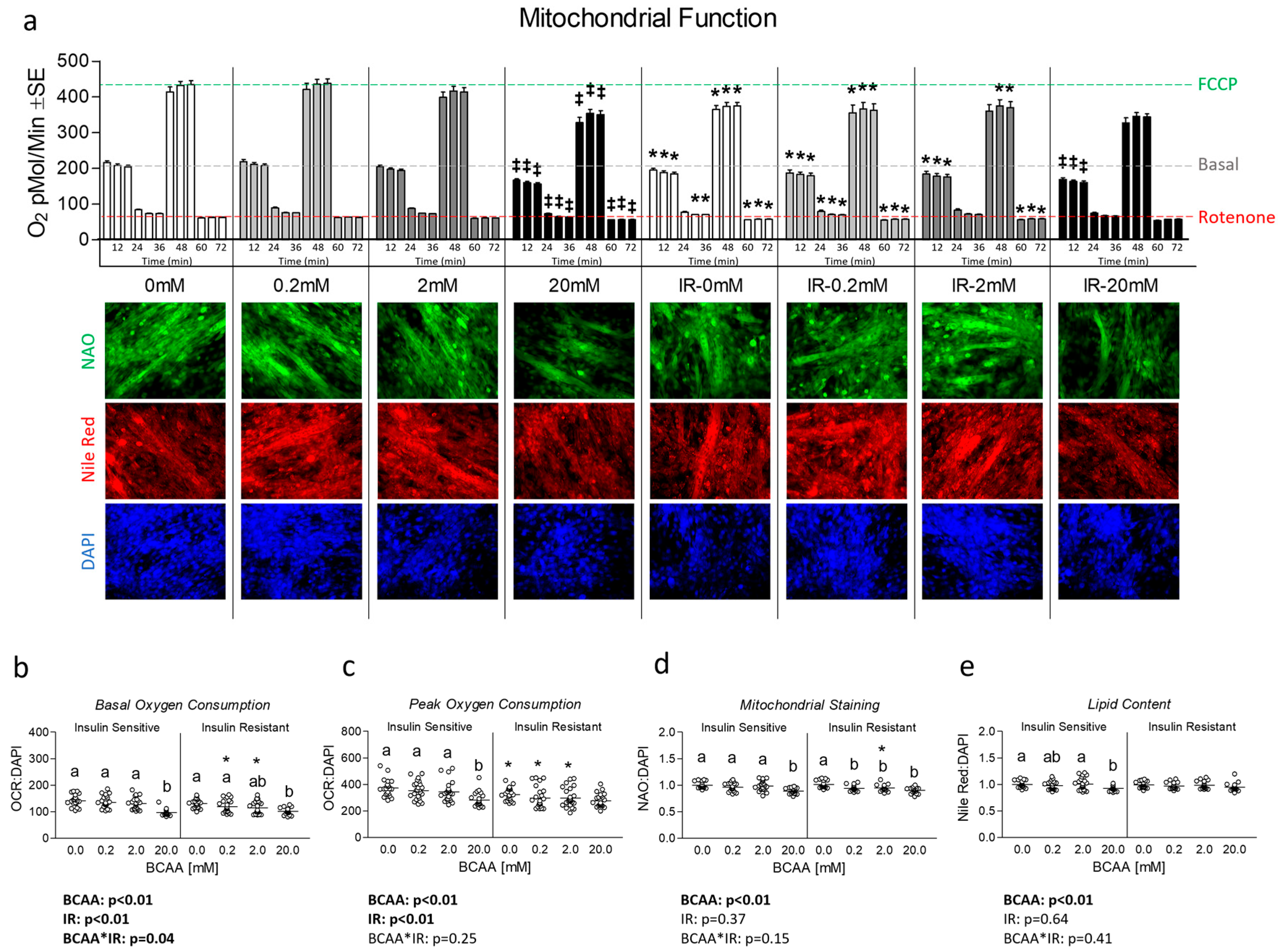 Metabolites 14 00389 g002