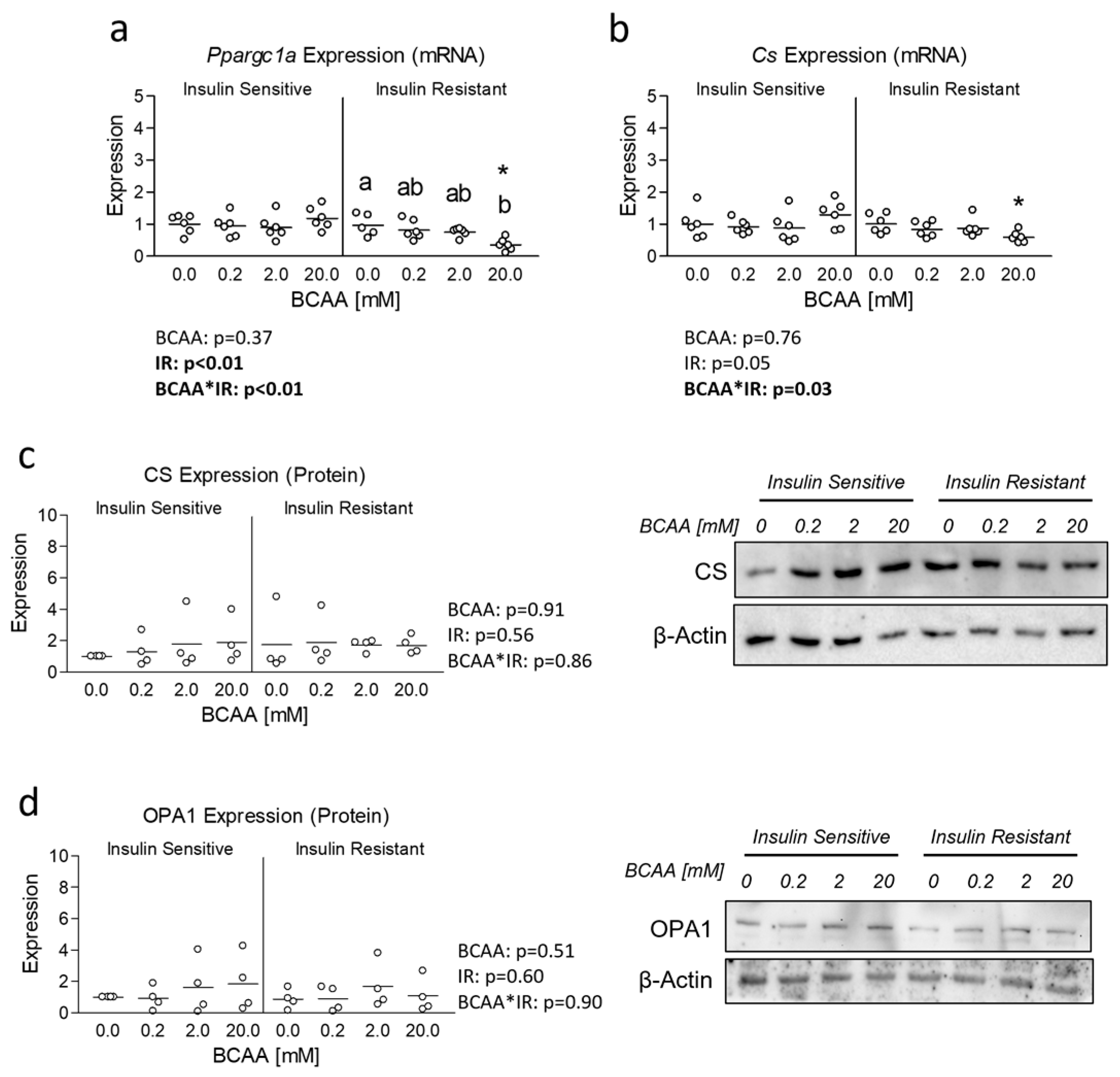 Metabolites 14 00389 g003
