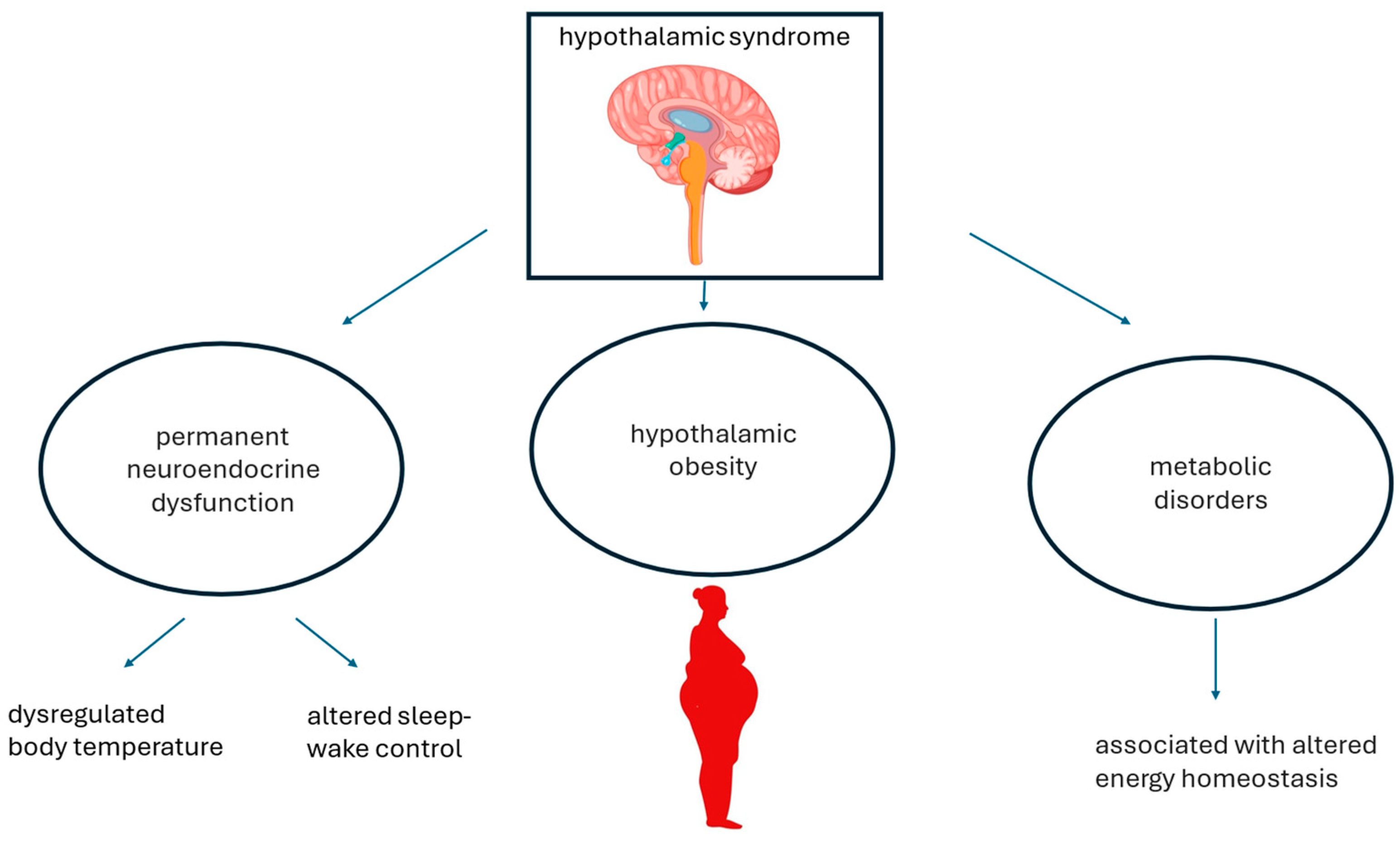 Metabolites 14 00408 g001