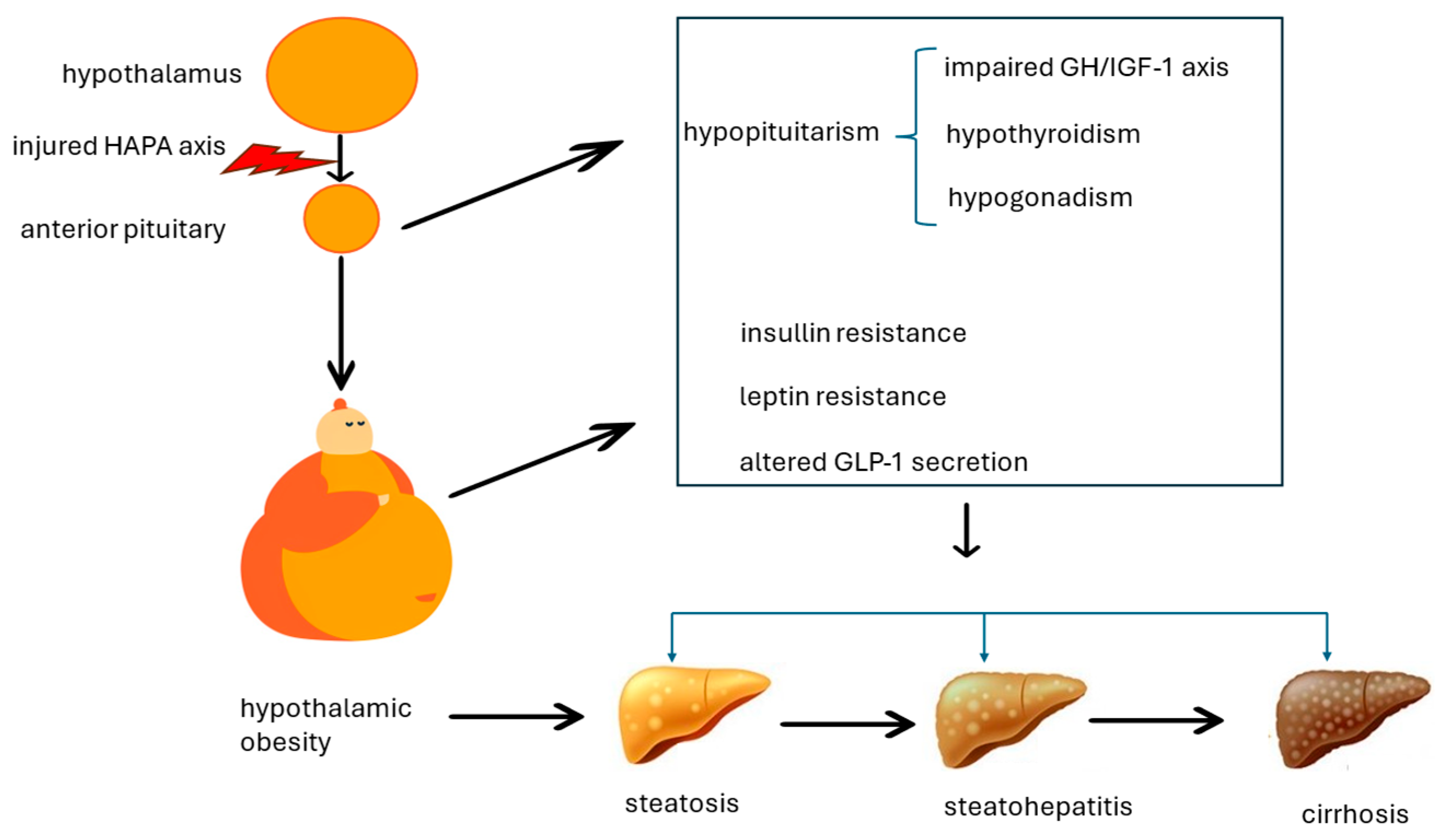 Metabolites 14 00408 g002