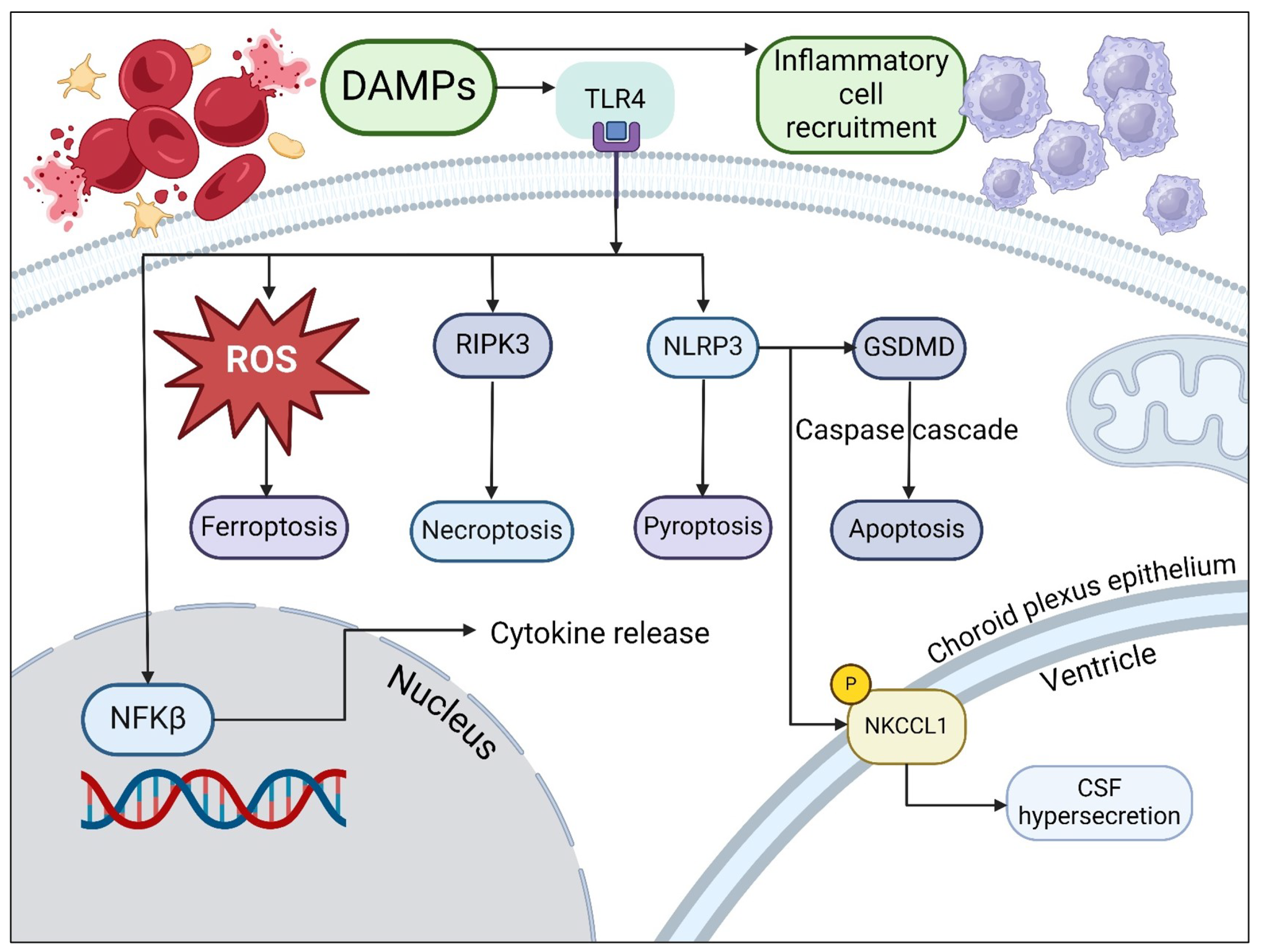 Metabolites 14 00412 g001