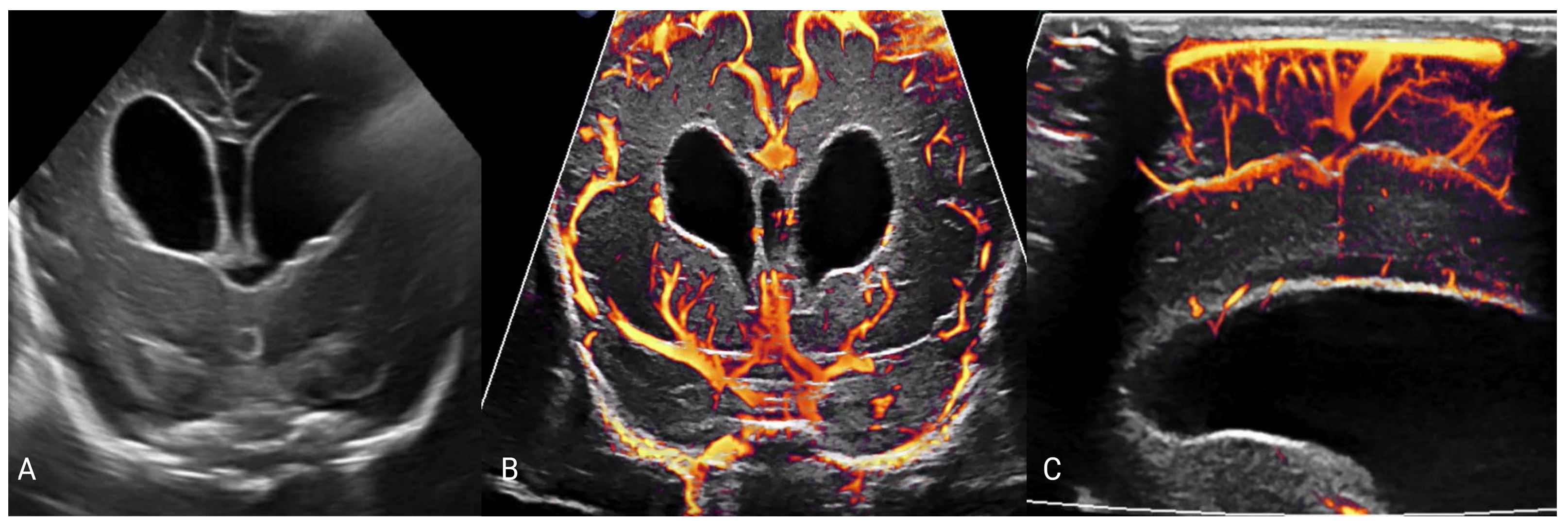 Metabolites 14 00412 g003