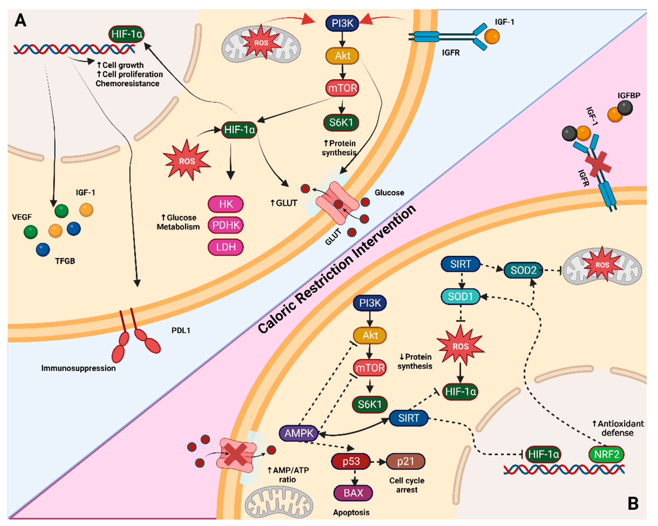 Metabolites 14 00418 g001