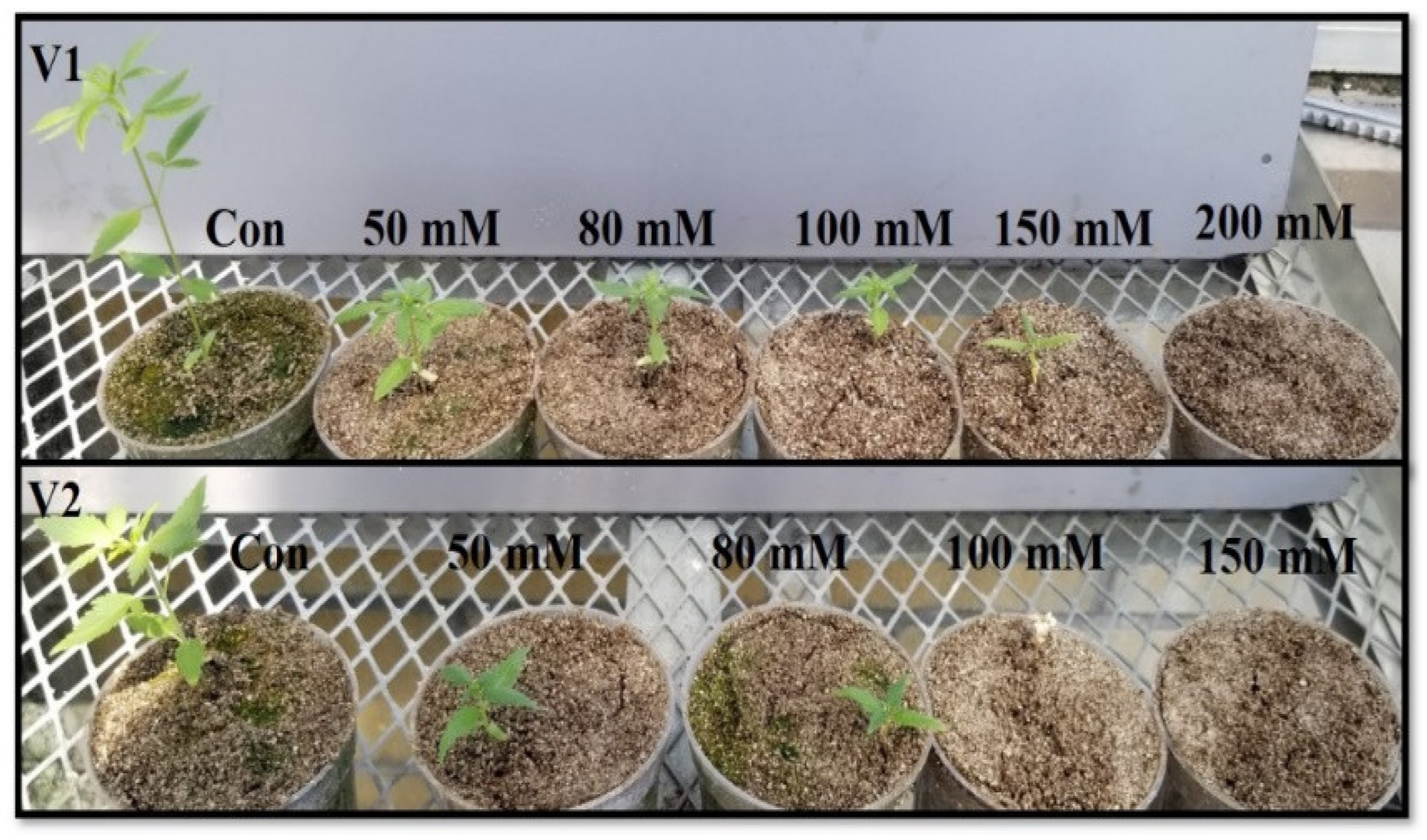 Metabolites 14 00420 g001