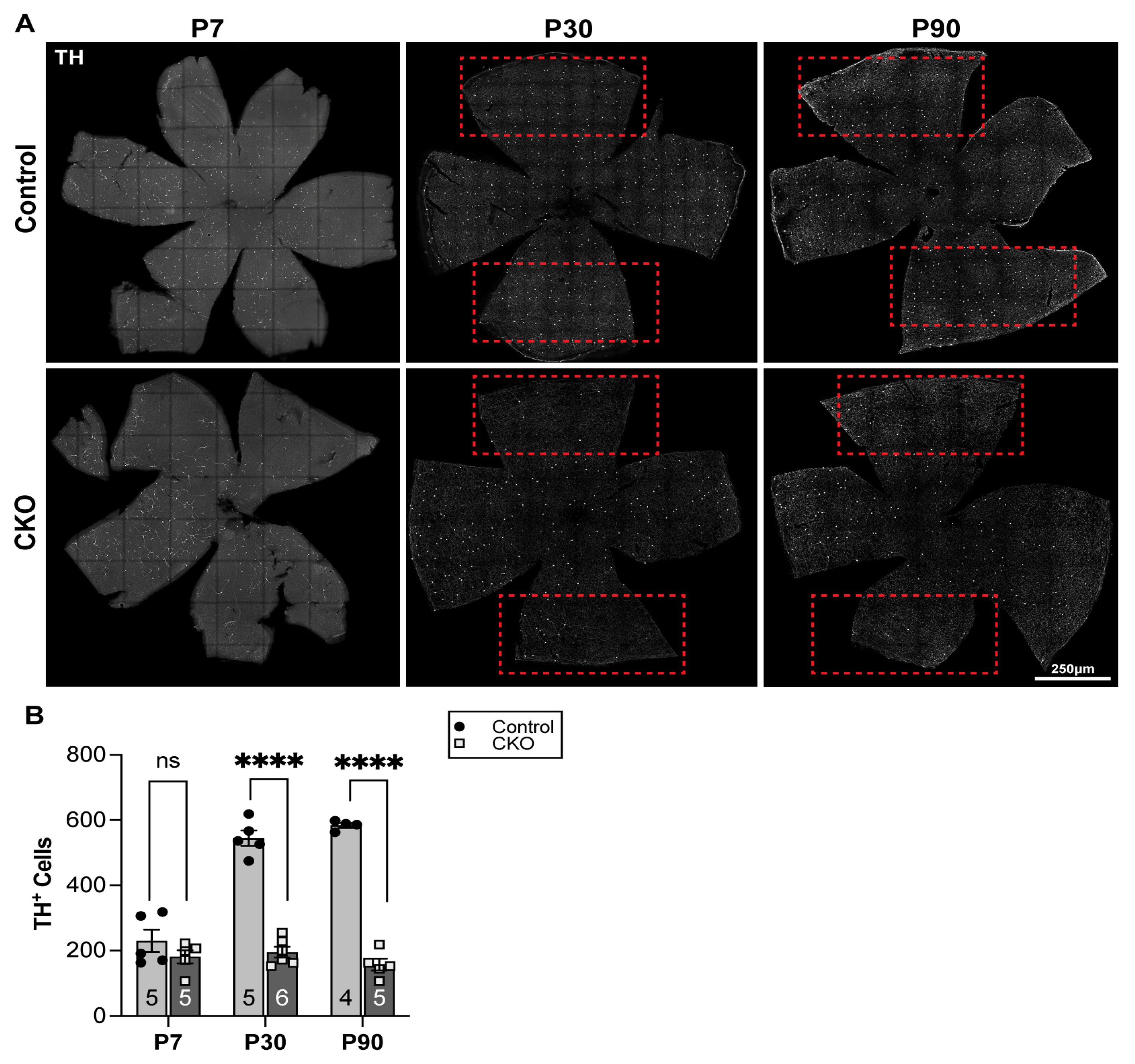 Metabolites 14 00423 g004 Metabolites 14 00423 g004