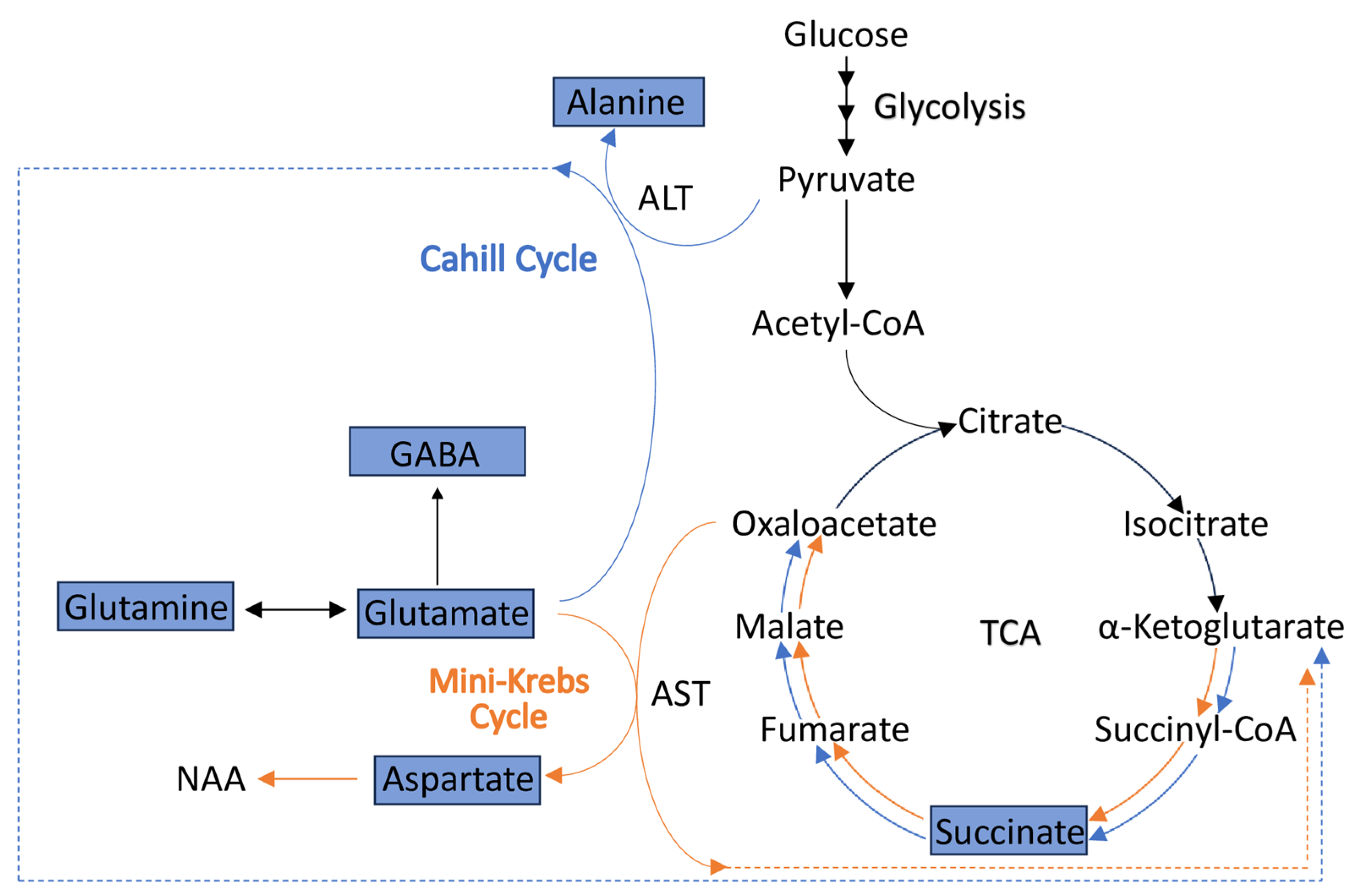 Metabolites 14 00423 g006 Metabolites 14 00423 g006