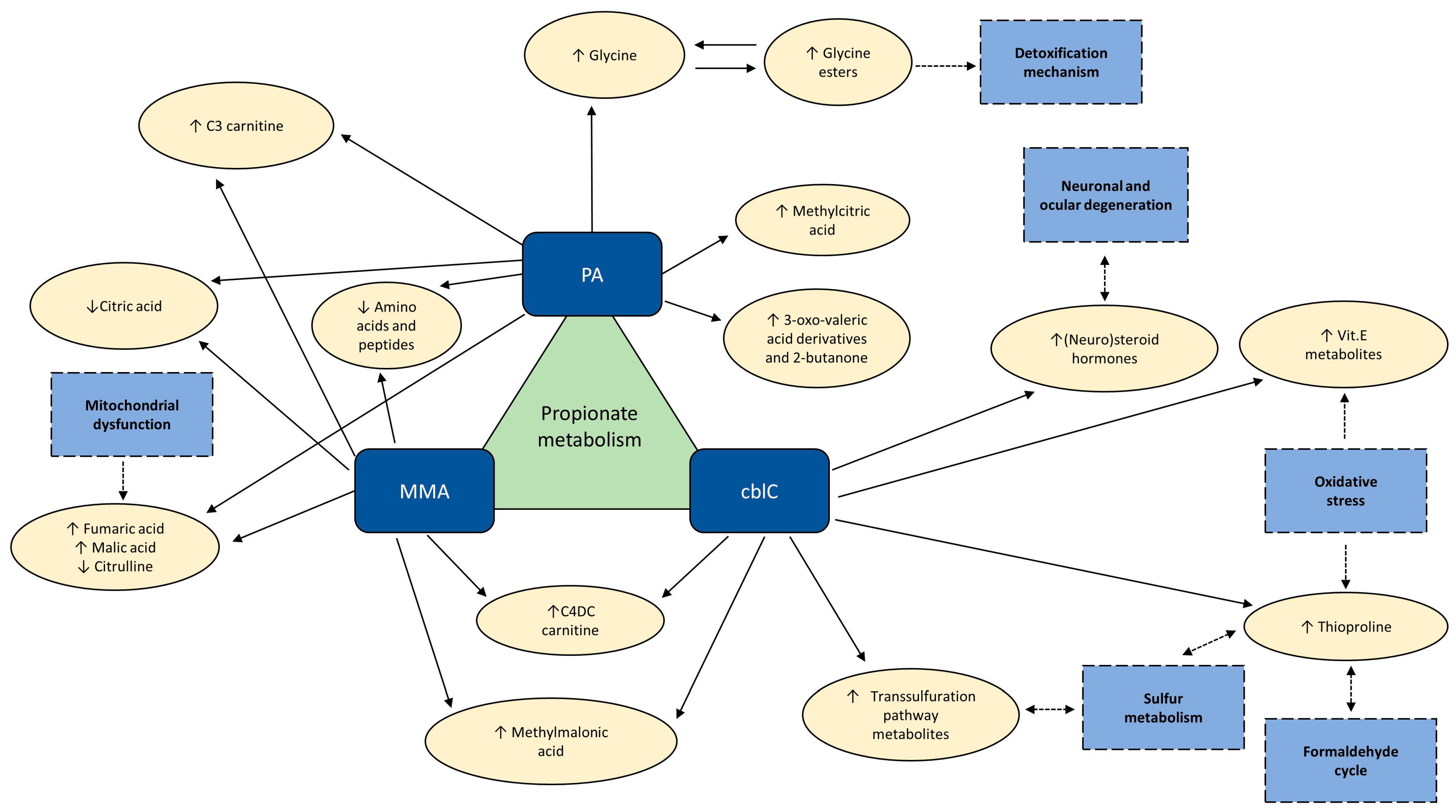 Metabolites 14 00428 g010 Metabolites 14 00428 g010