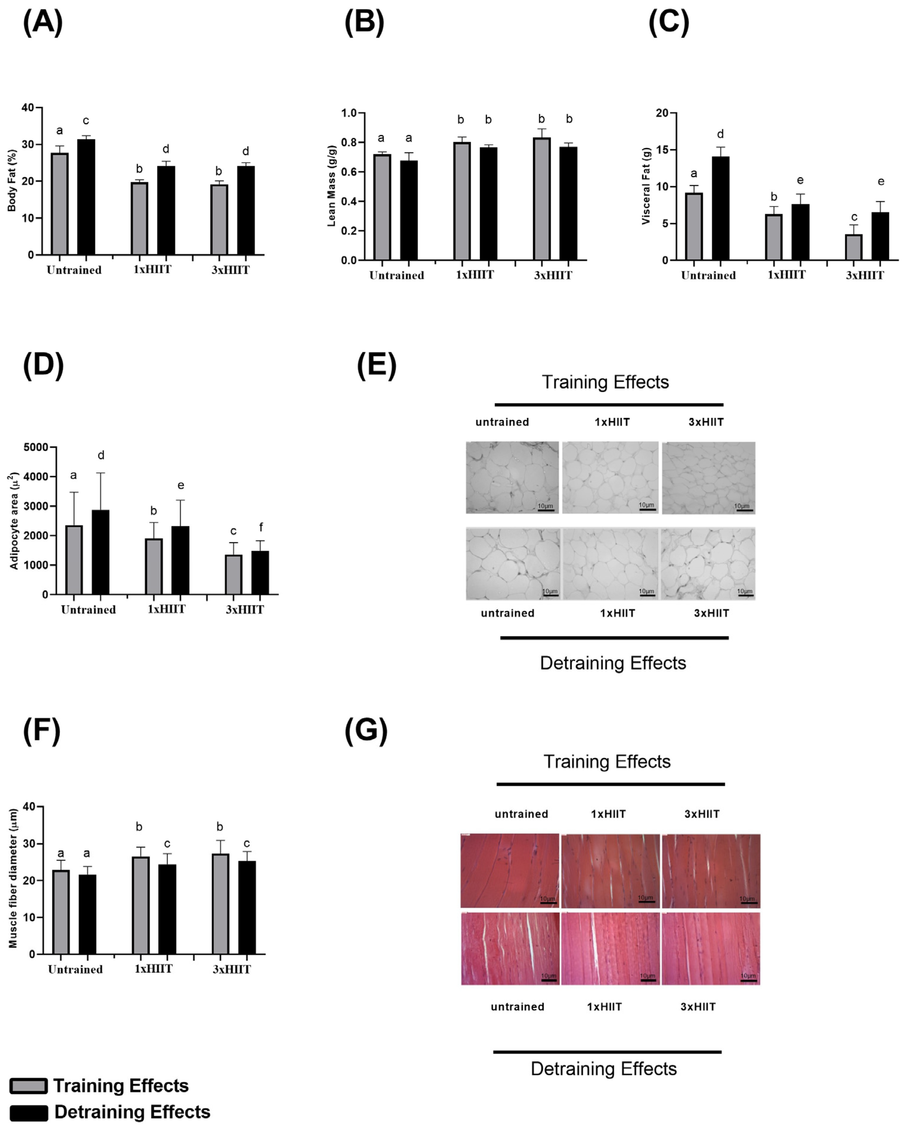 Metabolites 14 00447 g004