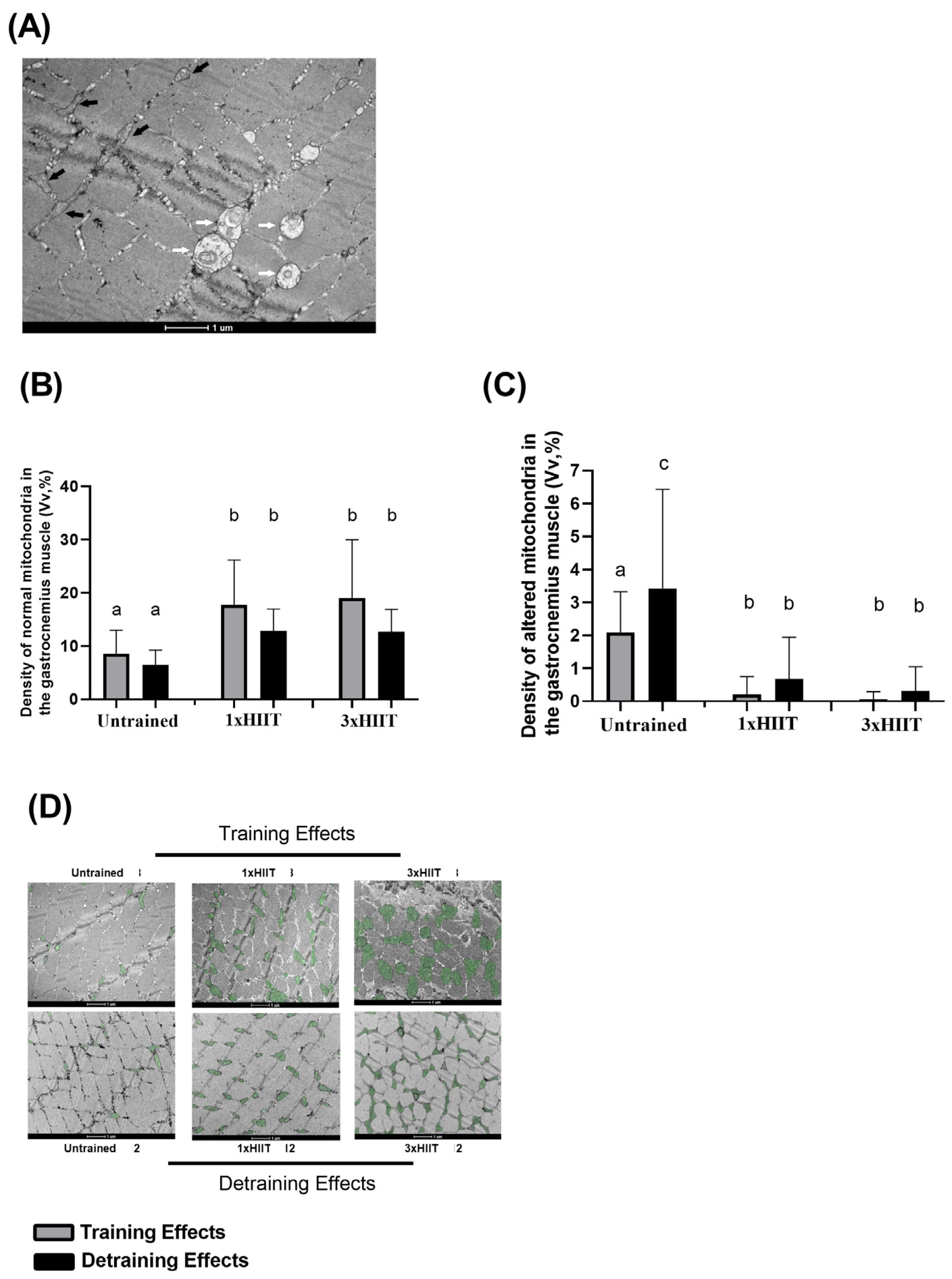 Metabolites 14 00447 g007