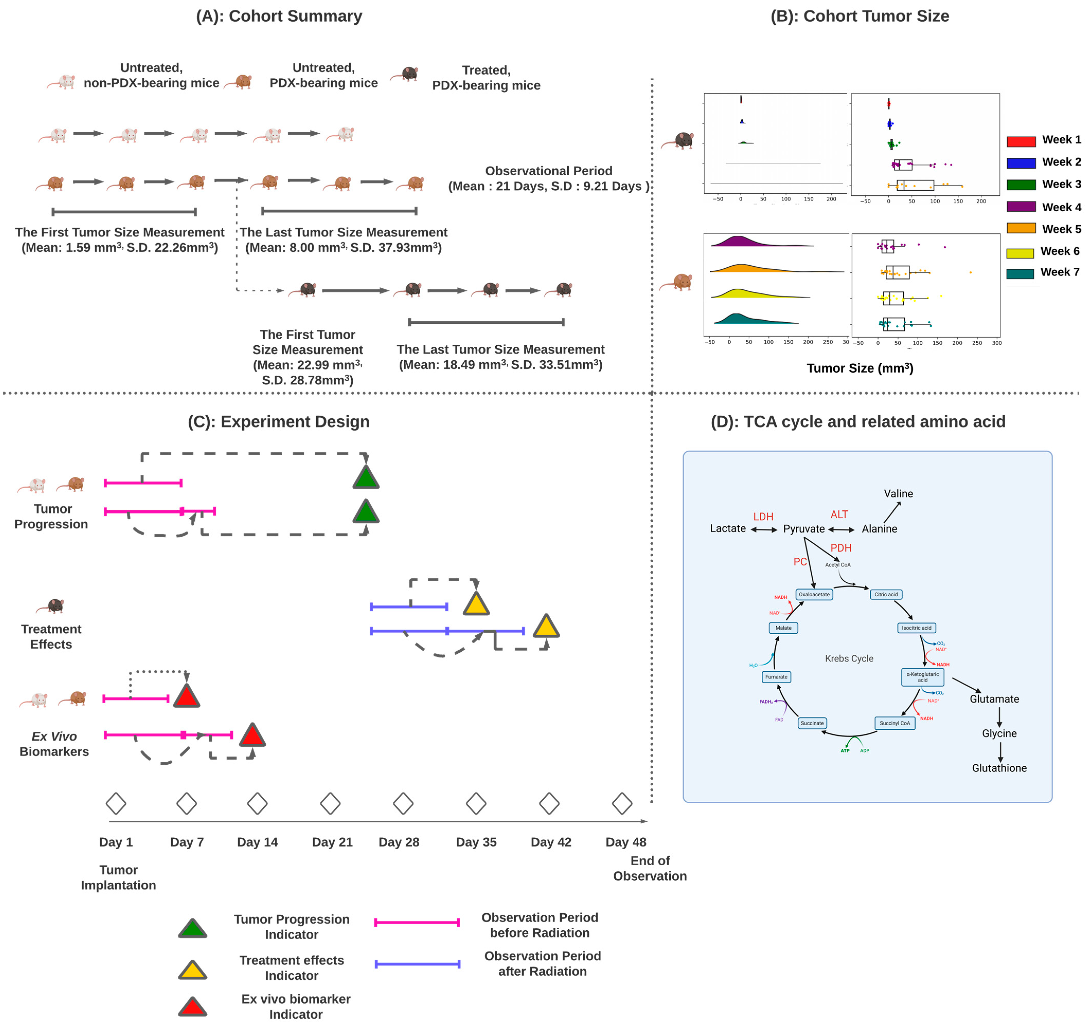 Metabolites 14 00448 g001 Metabolites 14 00448 g001
