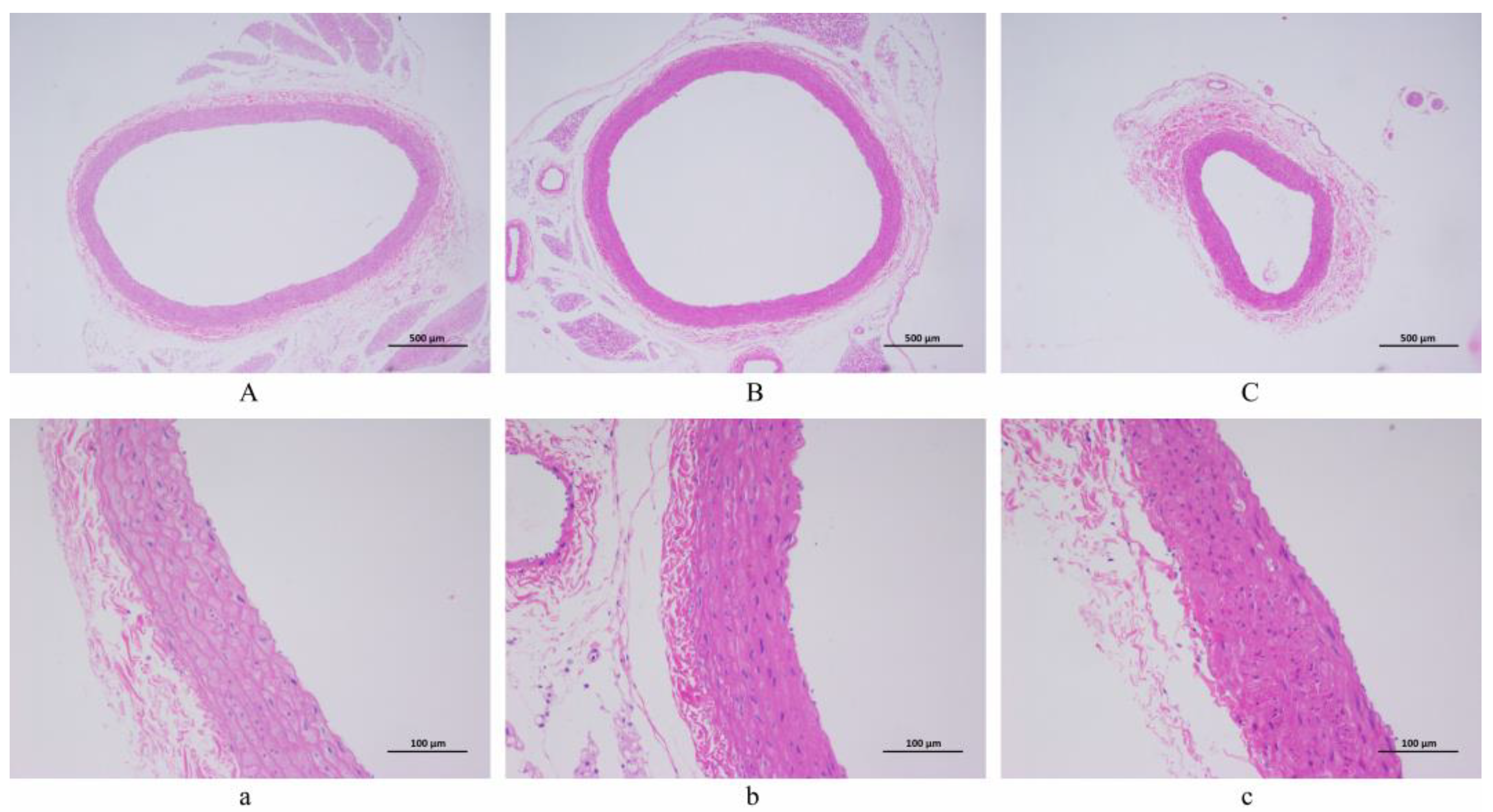 Metabolites 14 00452 g004