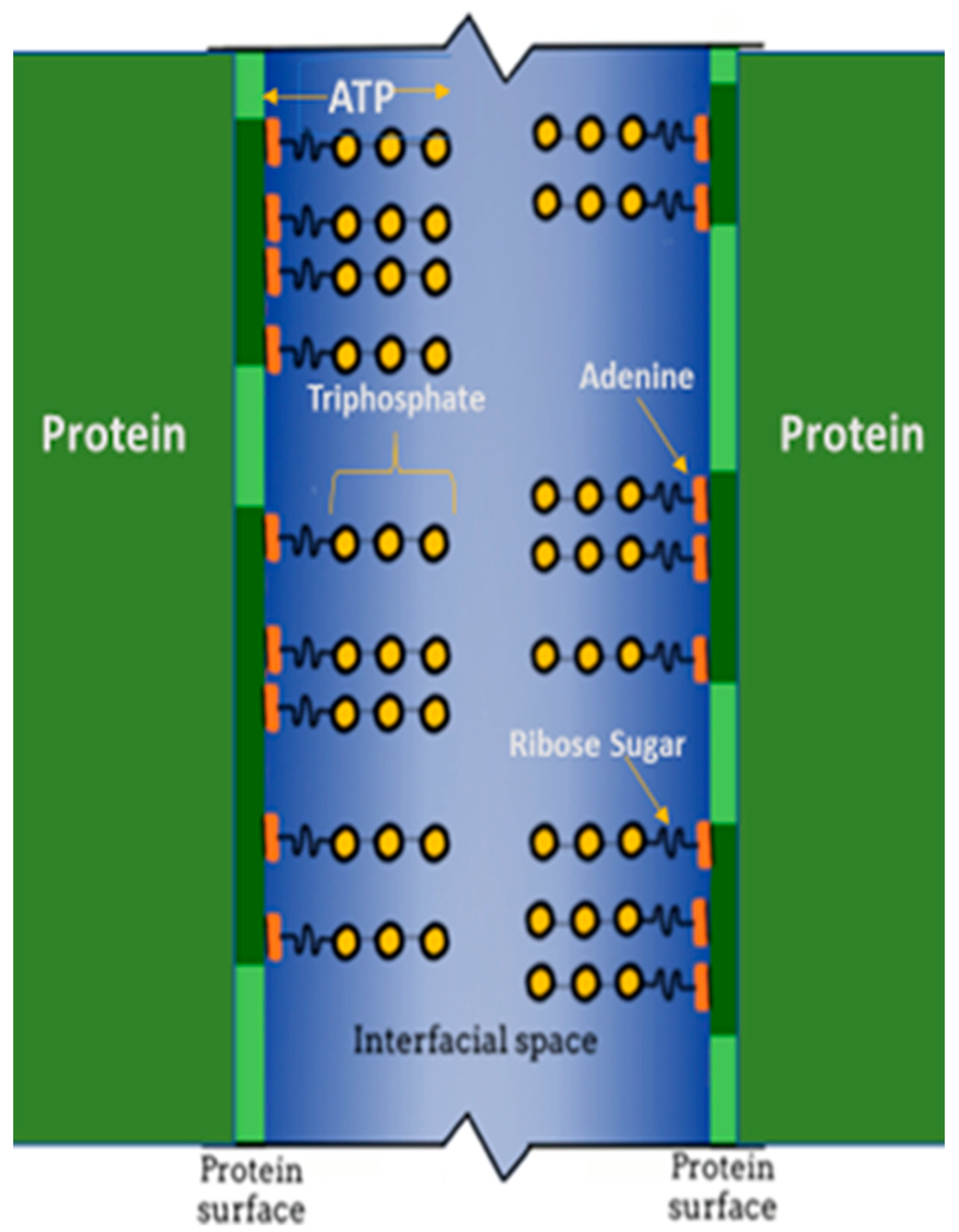 Metabolites 14 00456 g004
