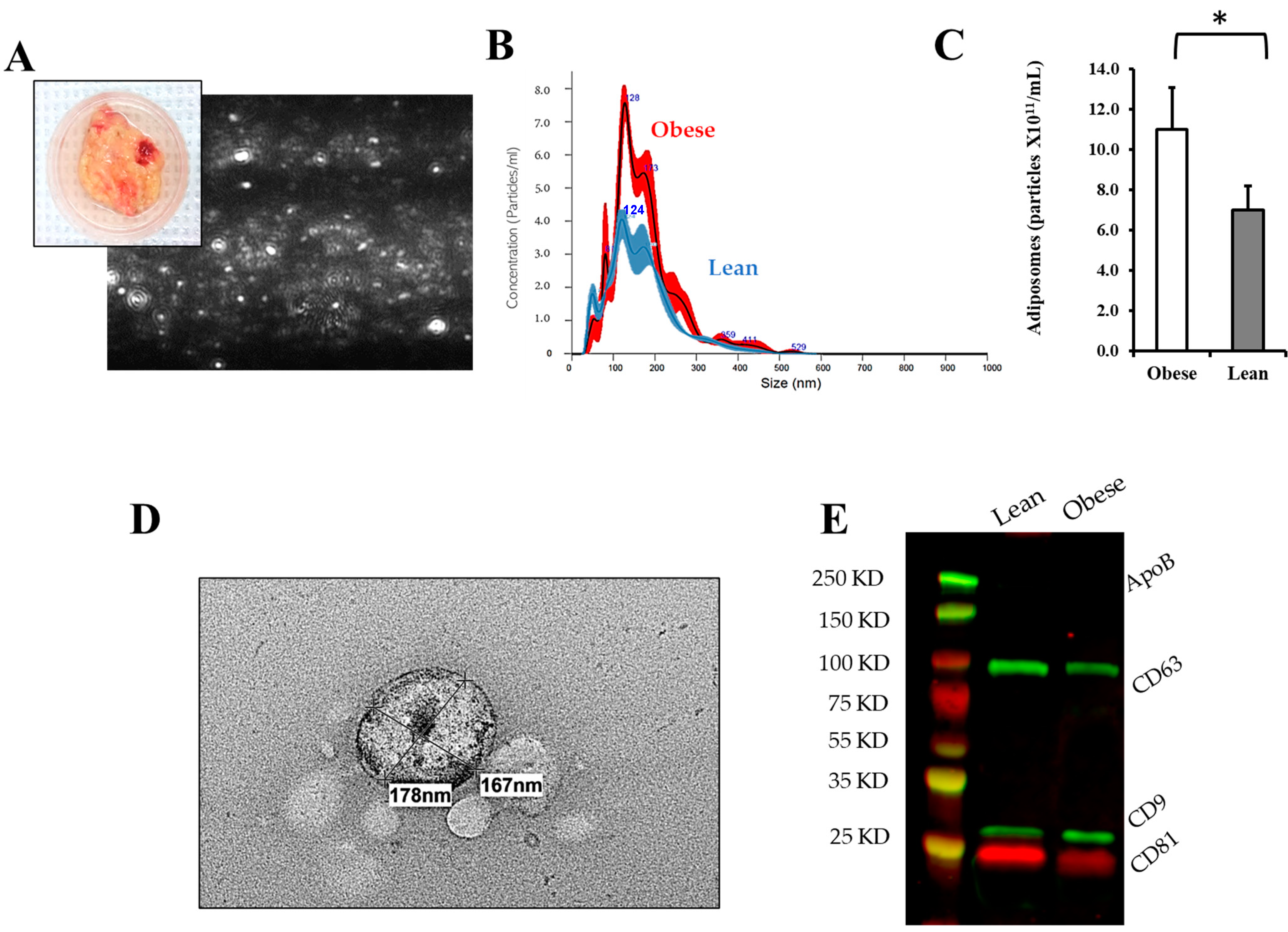 Metabolites 14 00464 g002