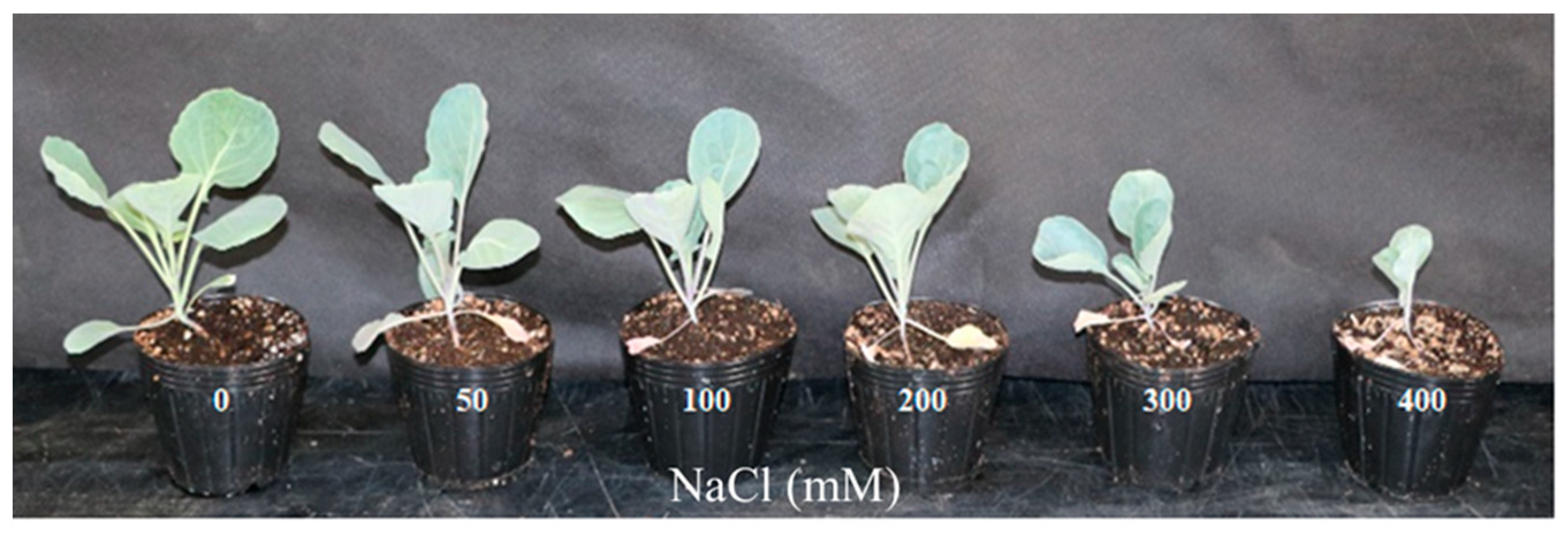 Metabolites 14 00470 g002