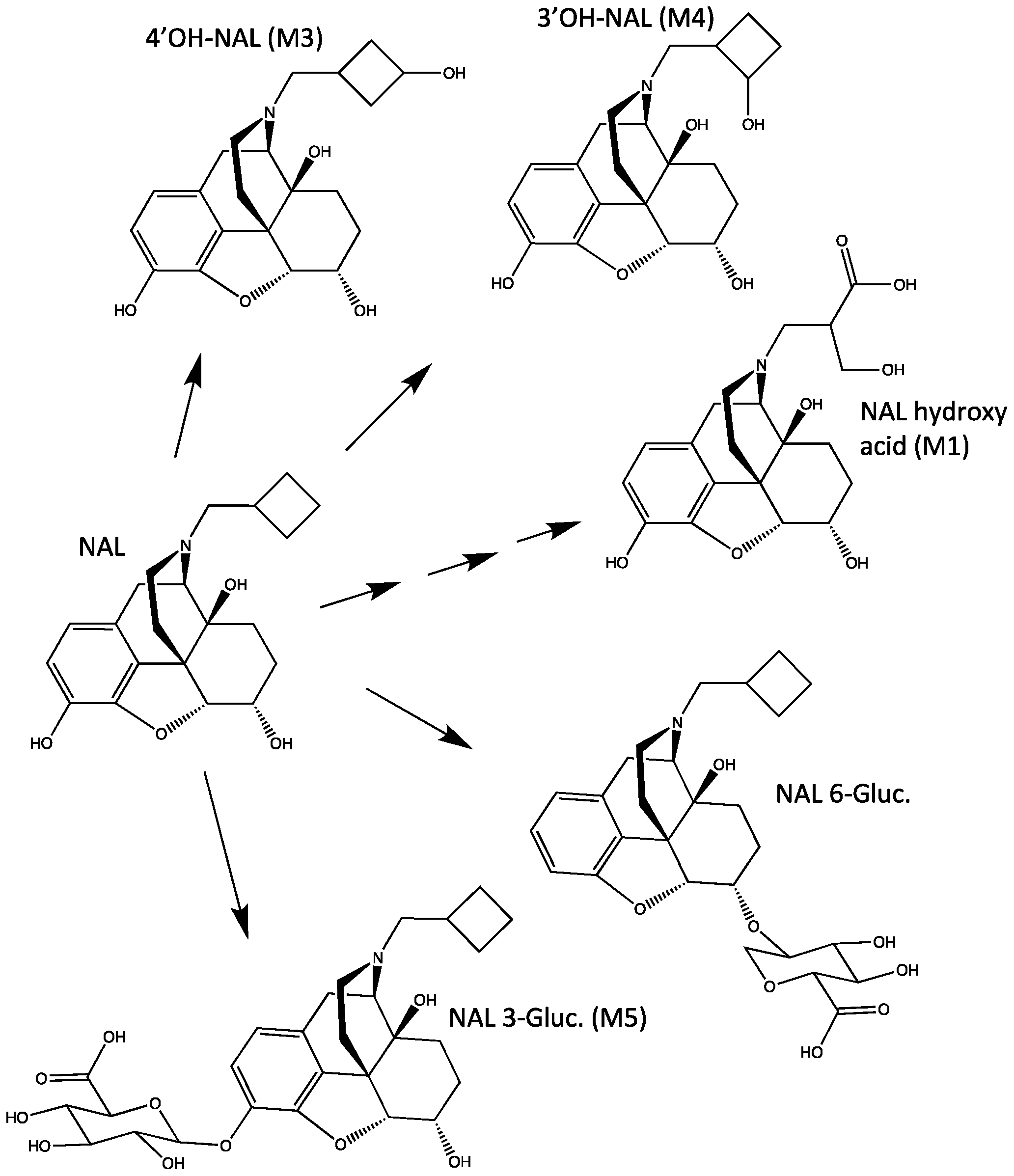 Metabolites 14 00471 g001