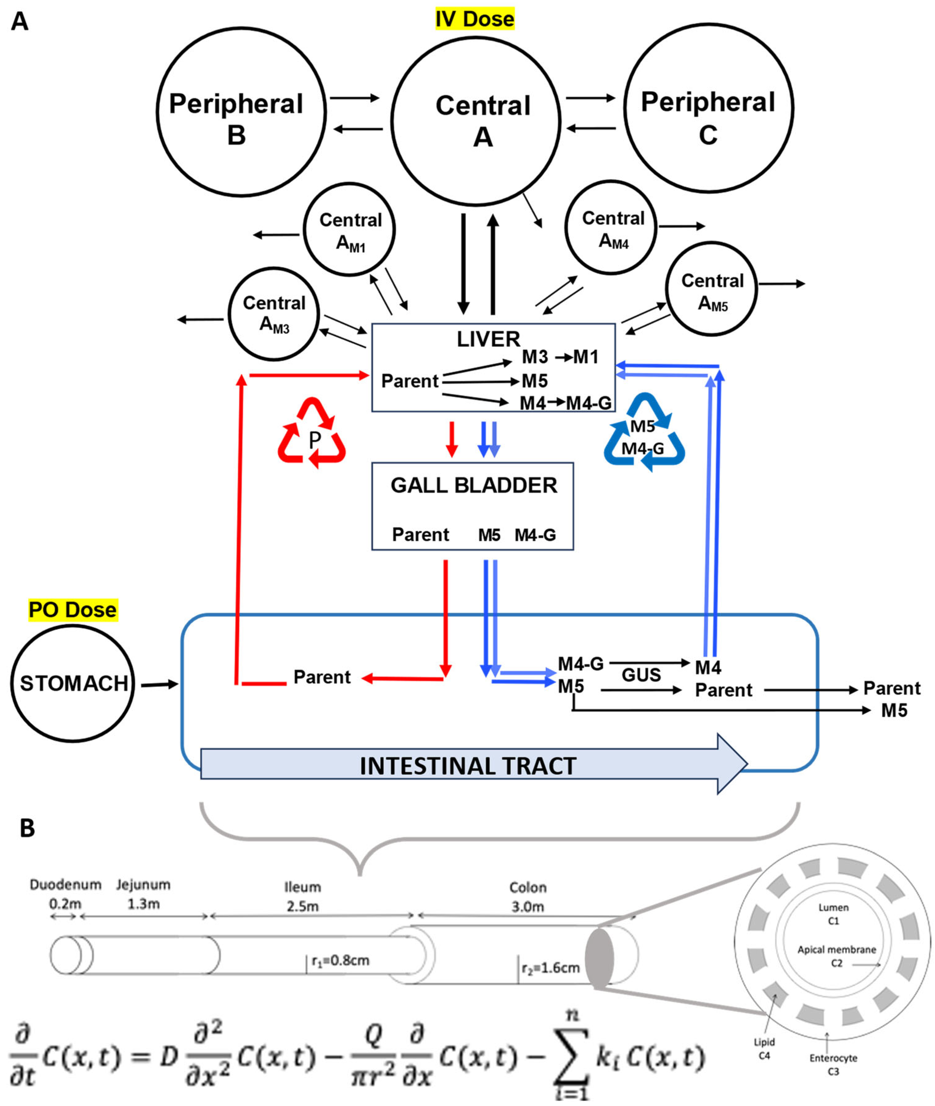 Metabolites 14 00471 g002