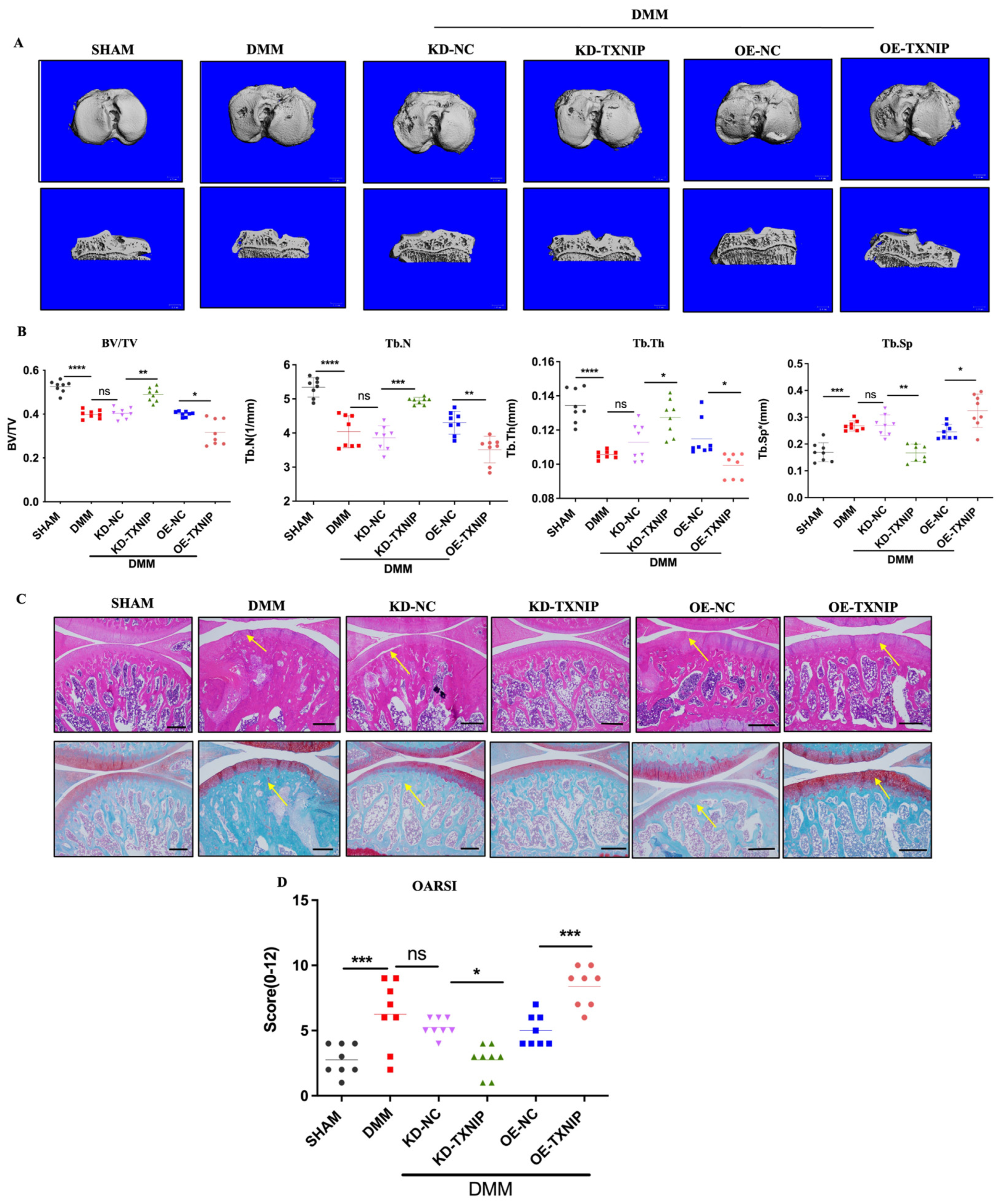 Metabolites 14 00488 g002