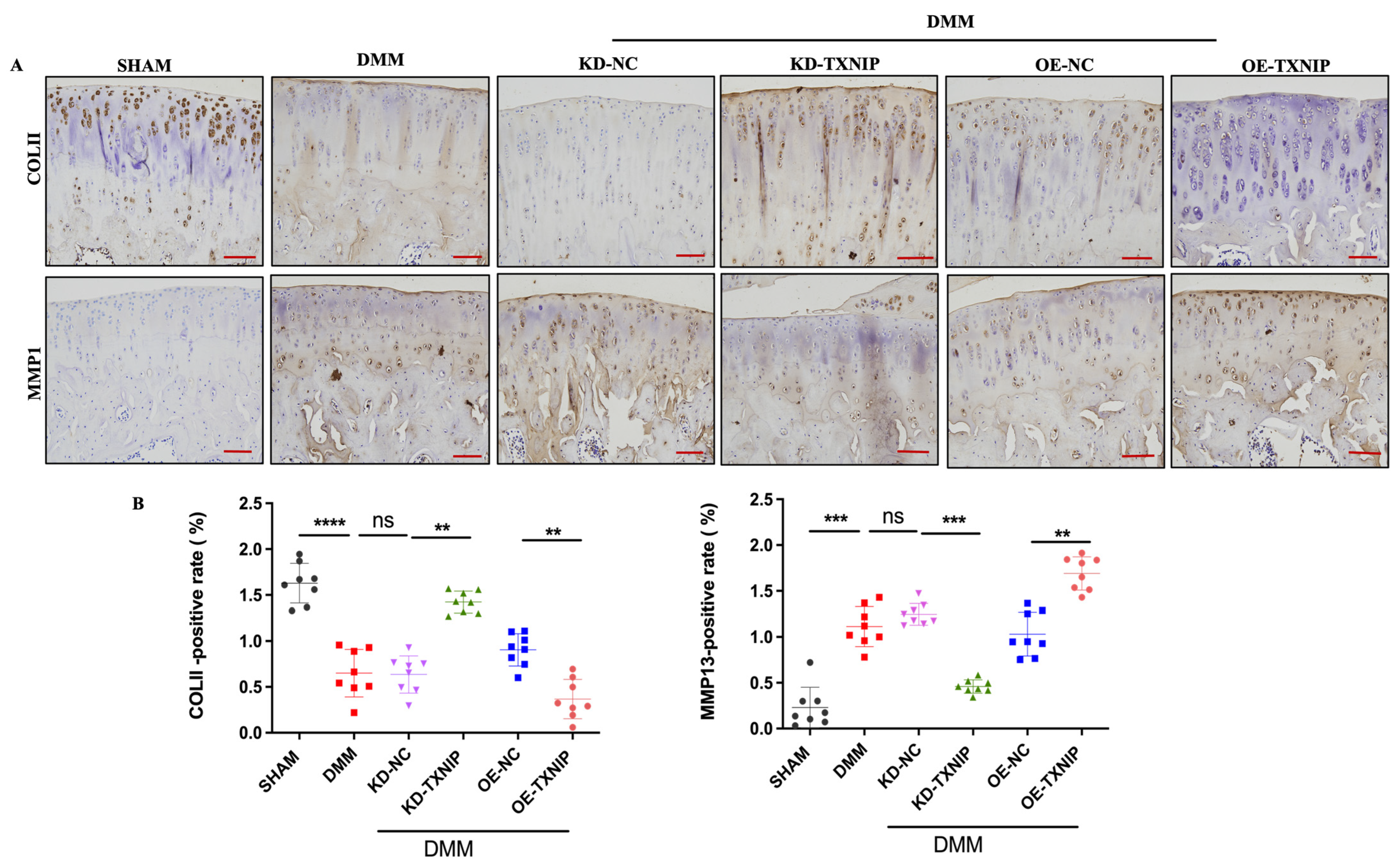 Metabolites 14 00488 g003