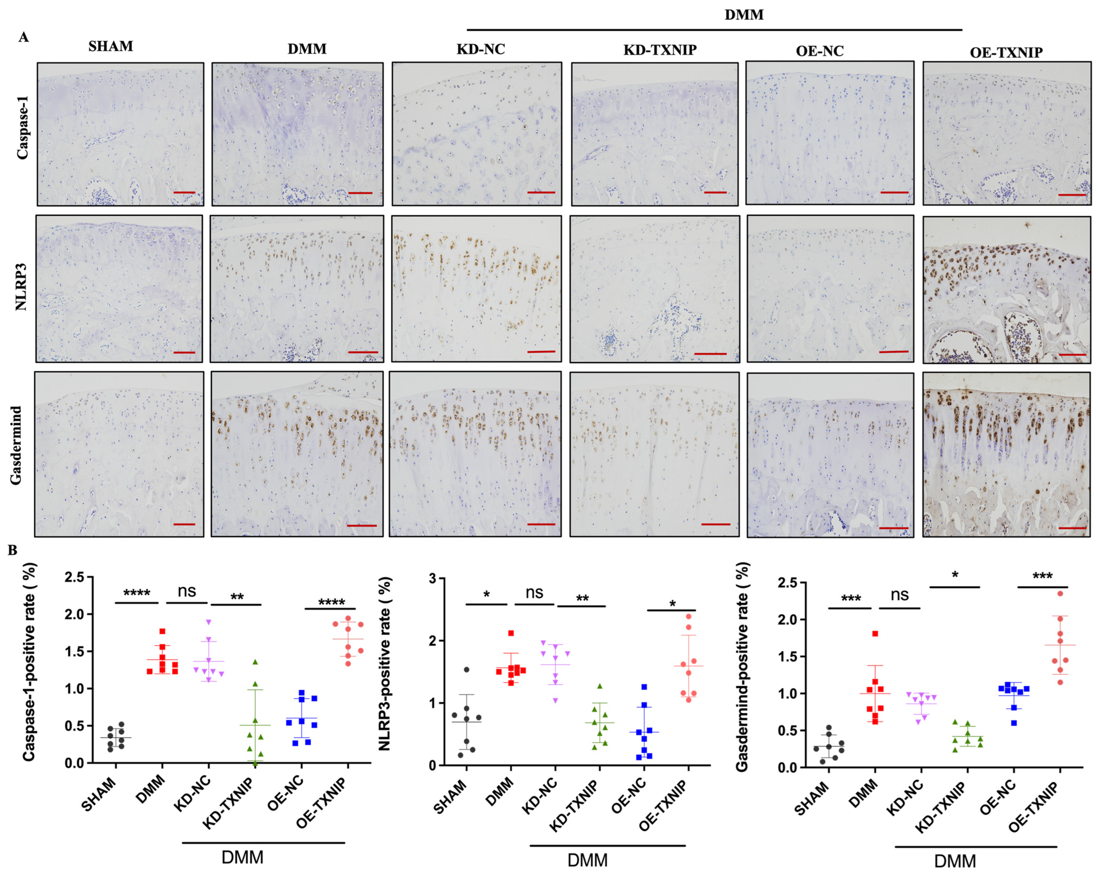 Metabolites 14 00488 g004