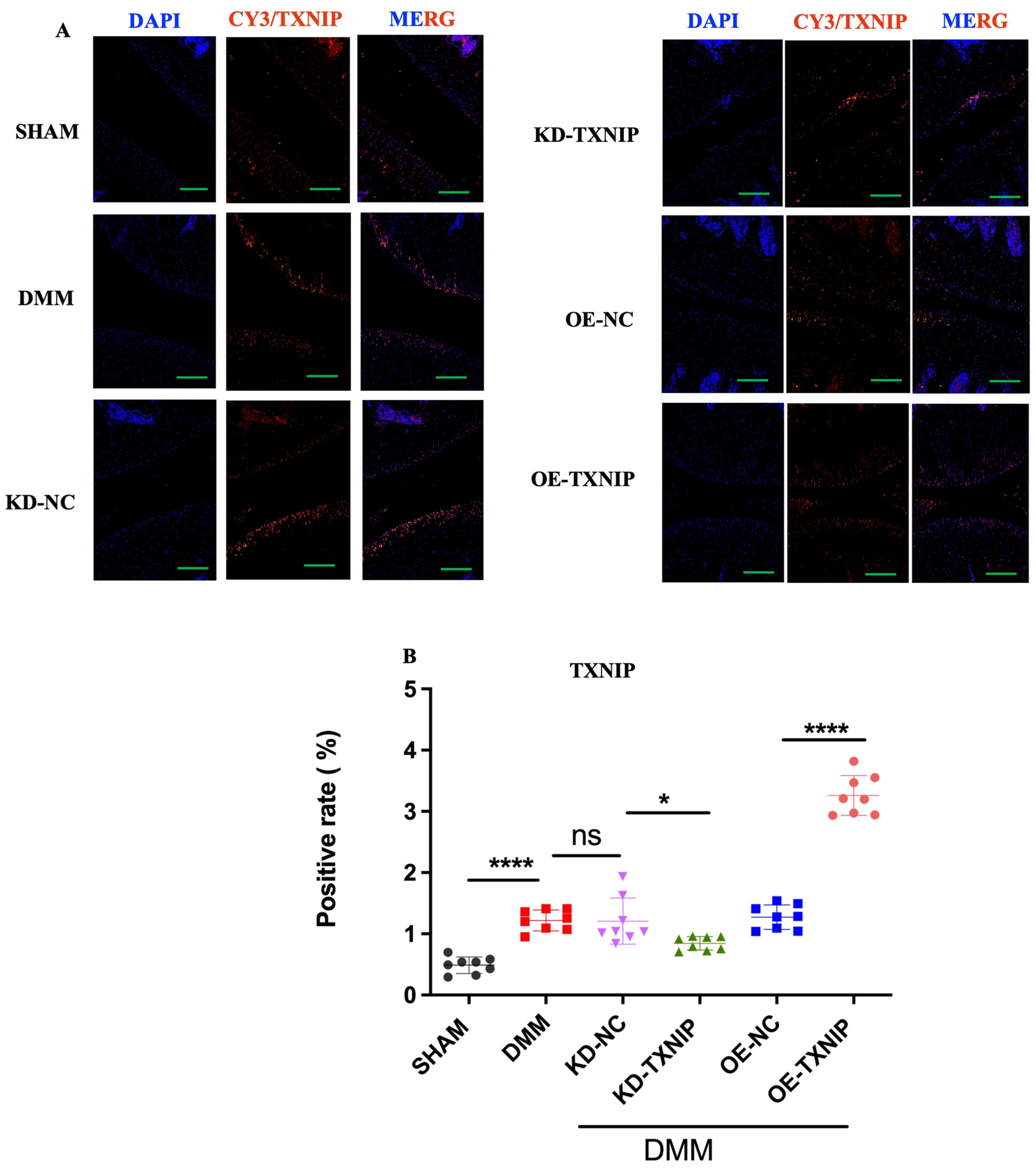 Metabolites 14 00488 g005