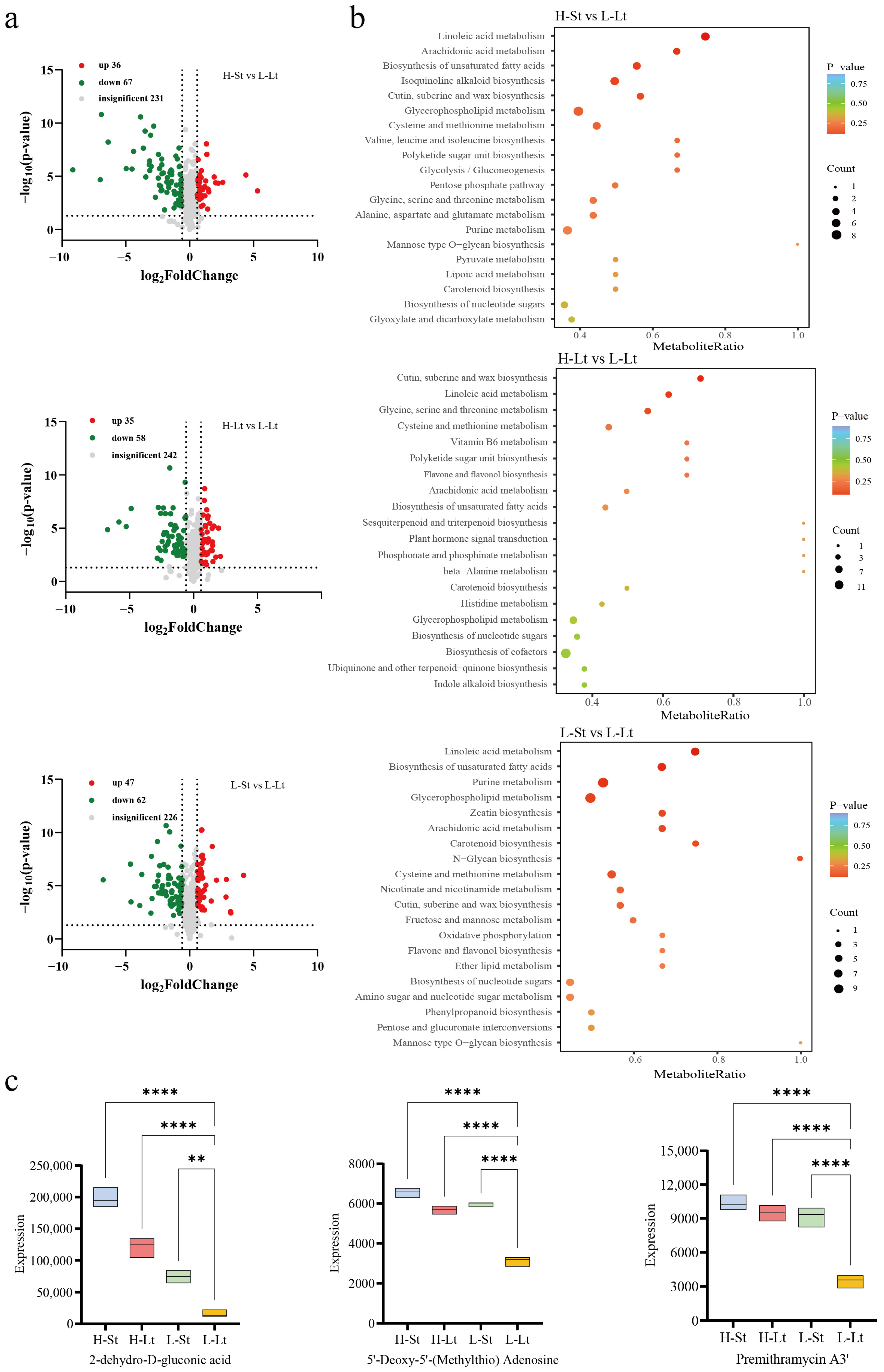 Metabolites 14 00503 g005