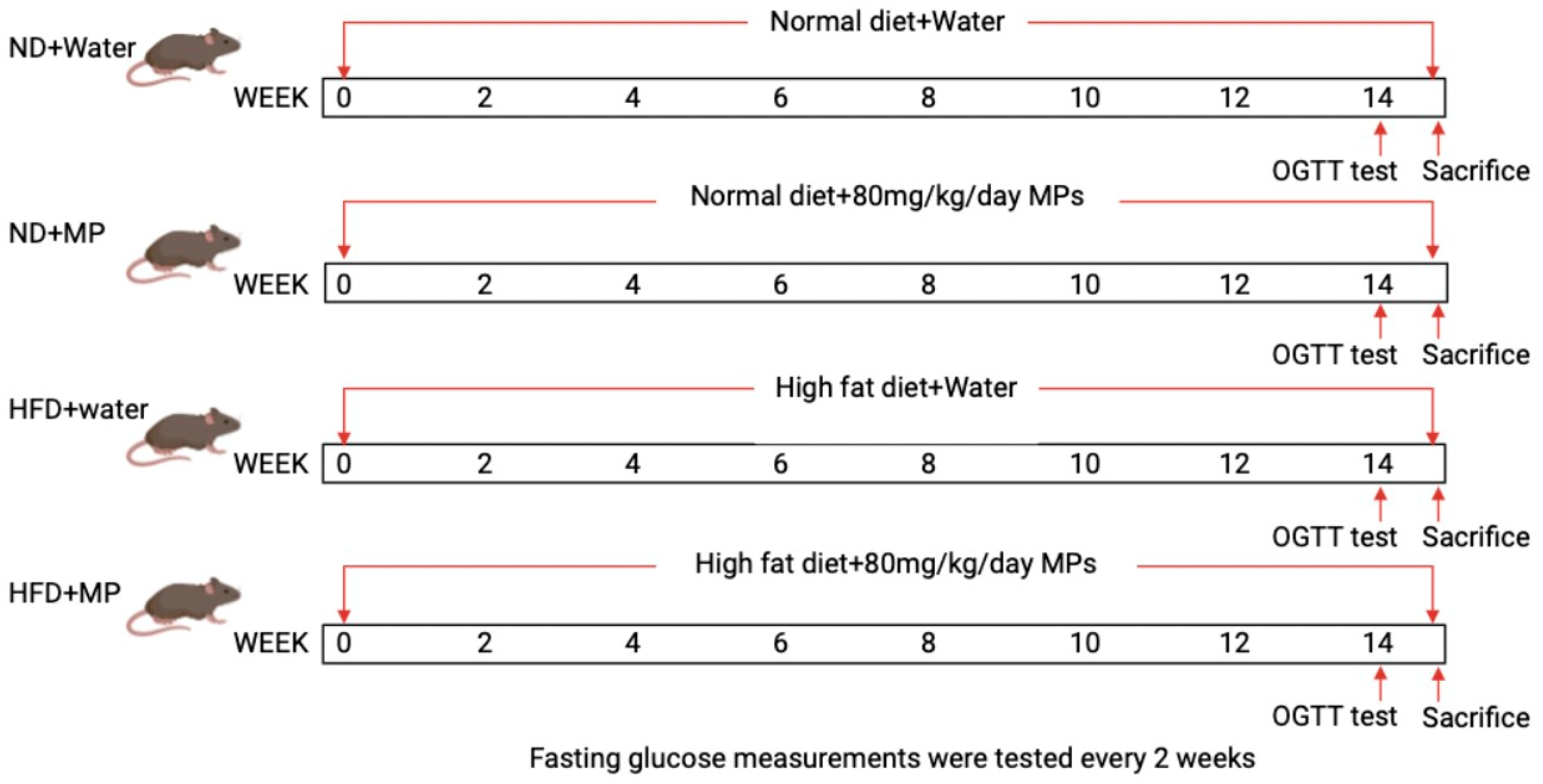 Metabolites 14 00504 g001