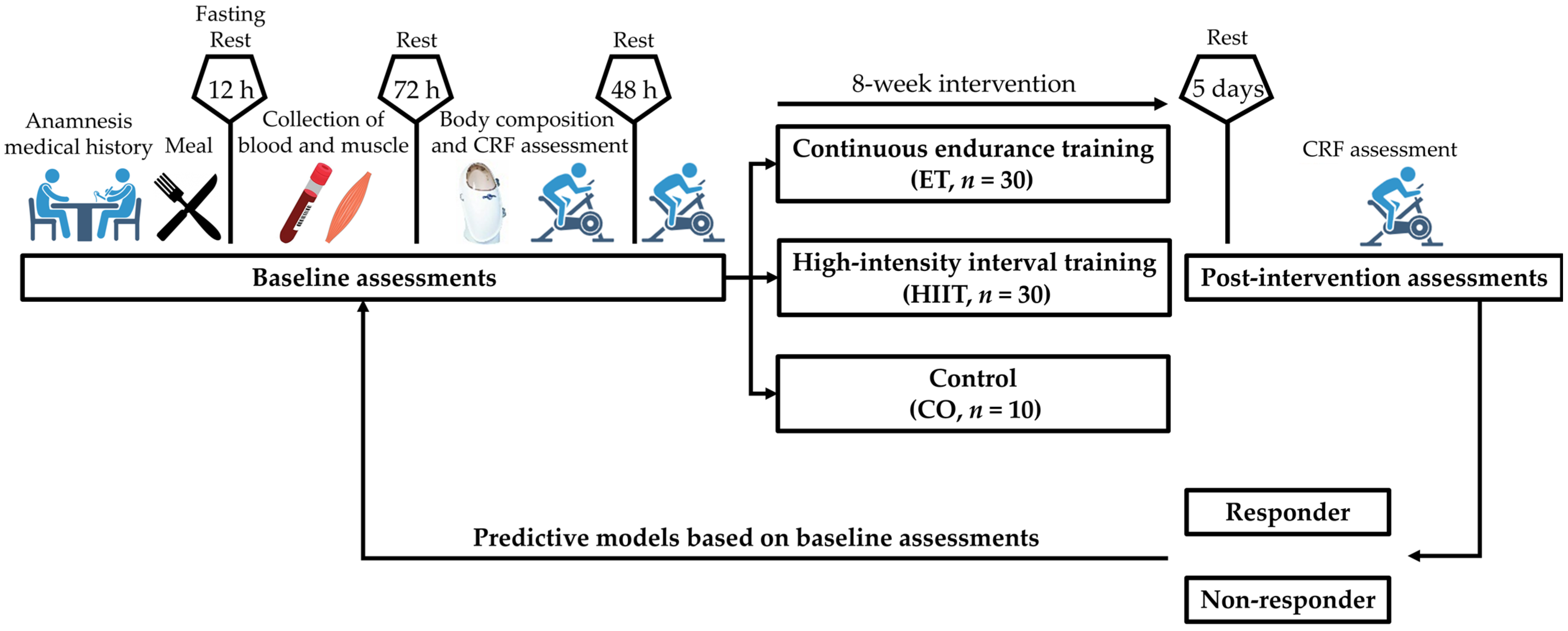 Metabolites 14 00512 g001