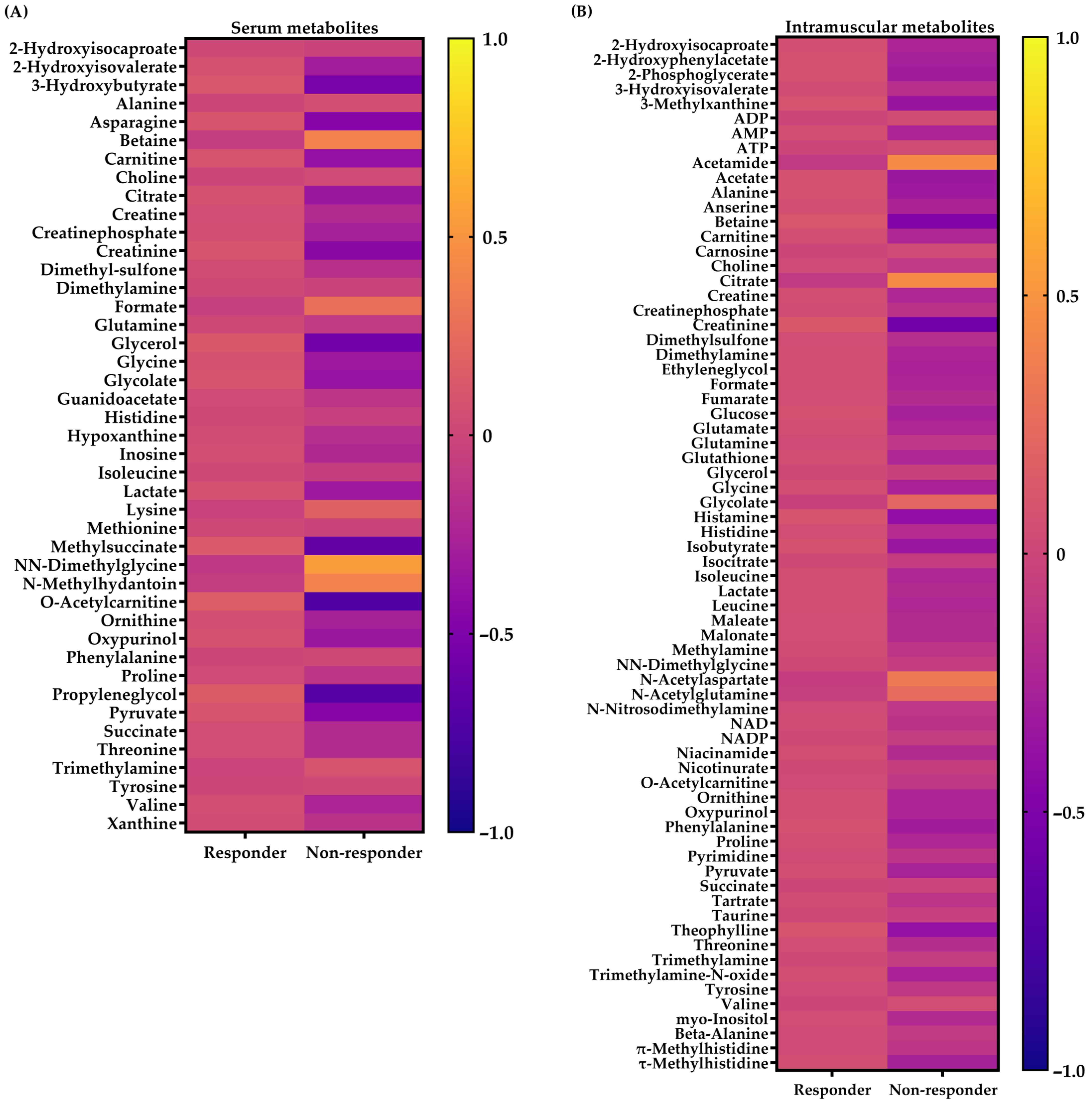 Metabolites 14 00512 g005