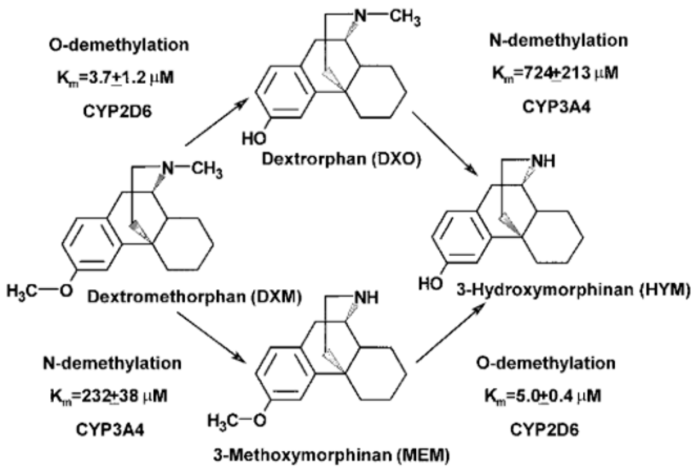 Metabolites 14 00522 g010