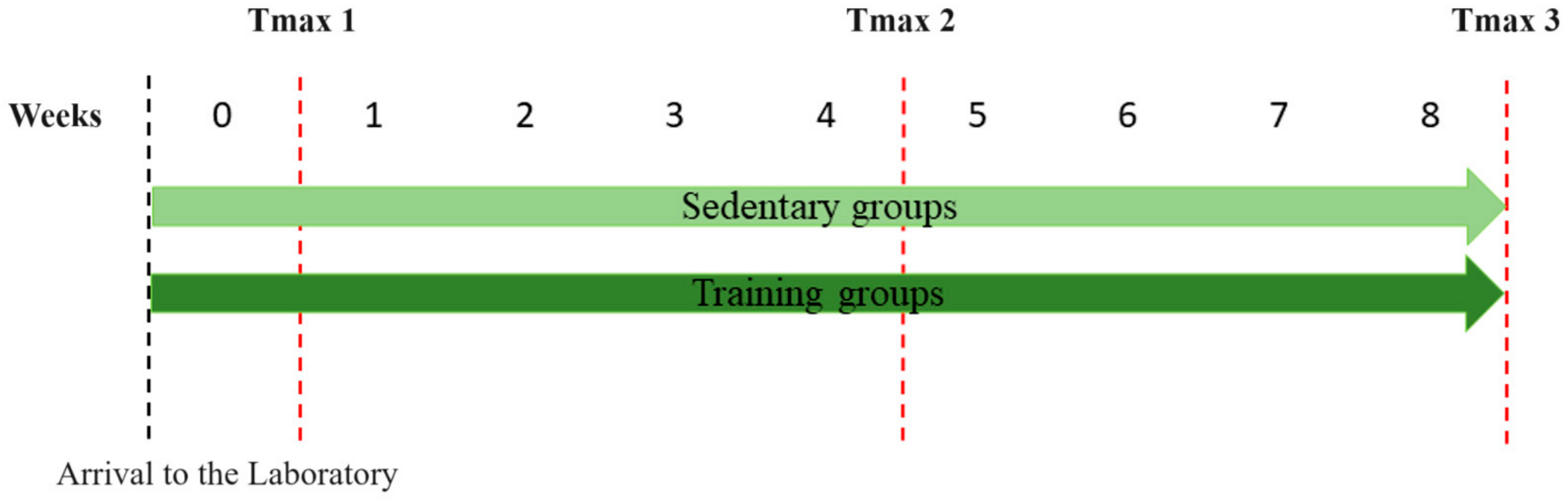 Metabolites 14 00534 g001 Metabolites 14 00534 g001