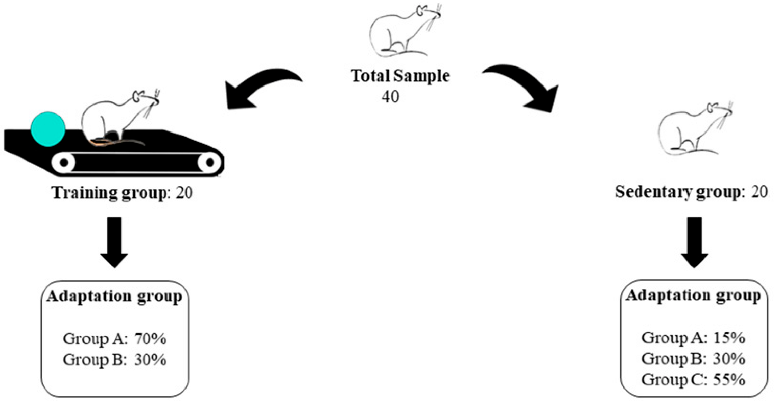 Metabolites 14 00534 g002 Metabolites 14 00534 g002