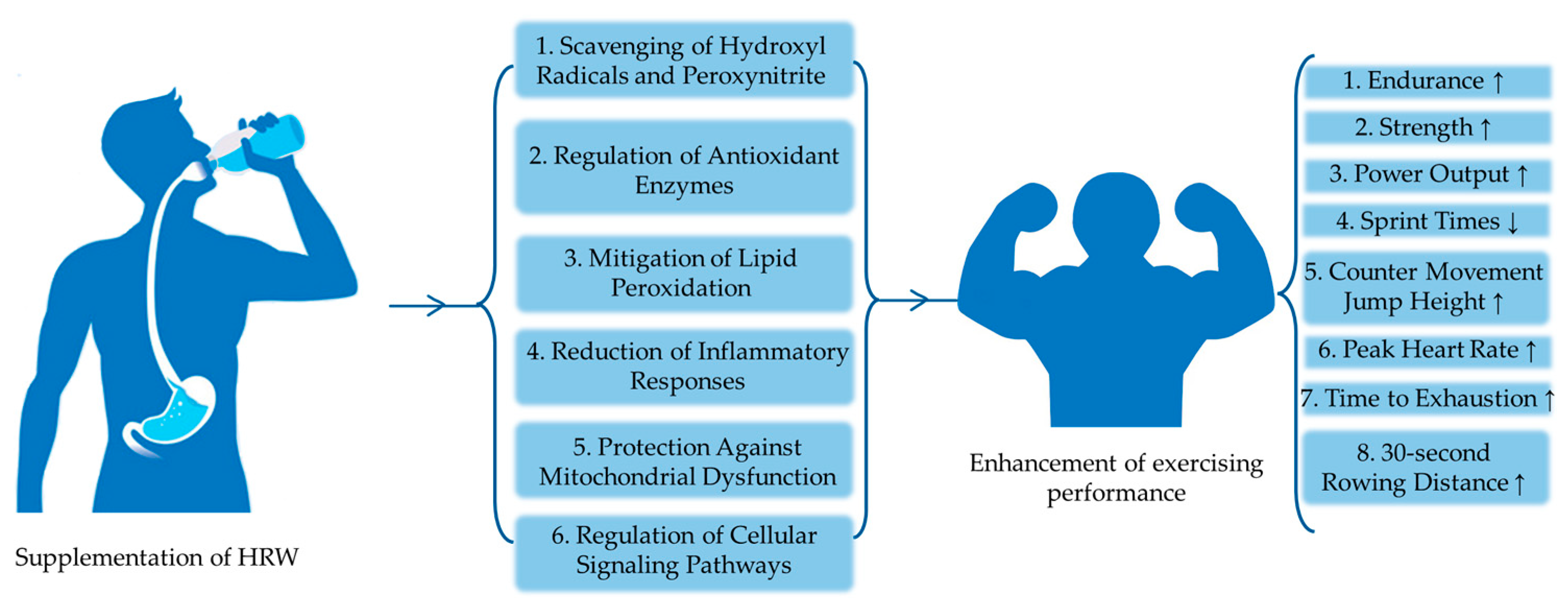 Metabolites 14 00537 g001