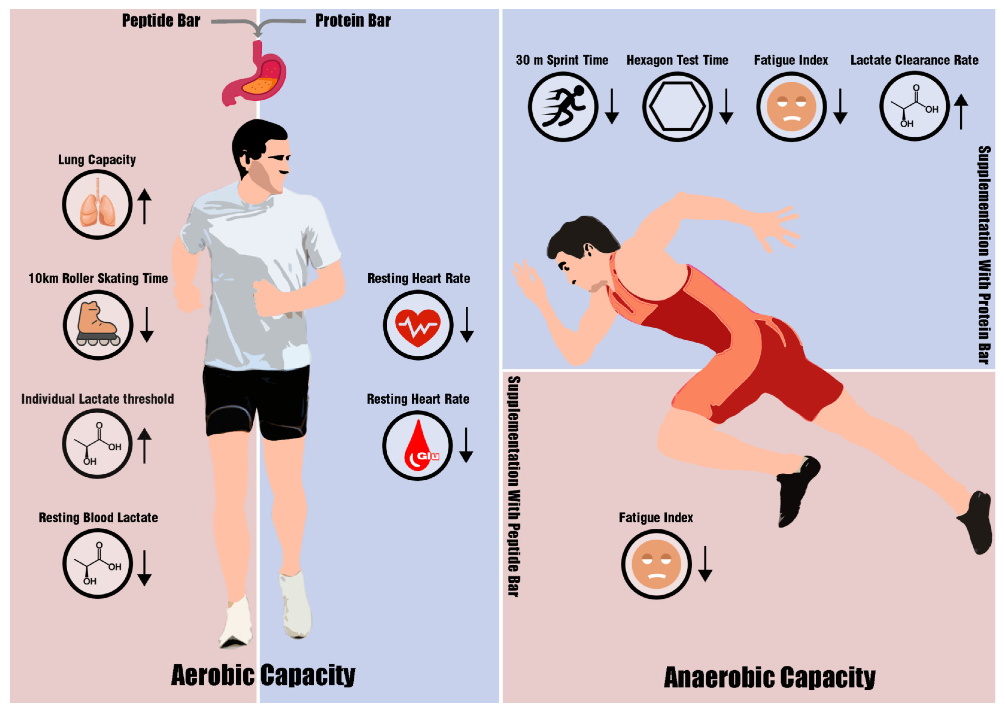 Metabolites 14 00538 g006